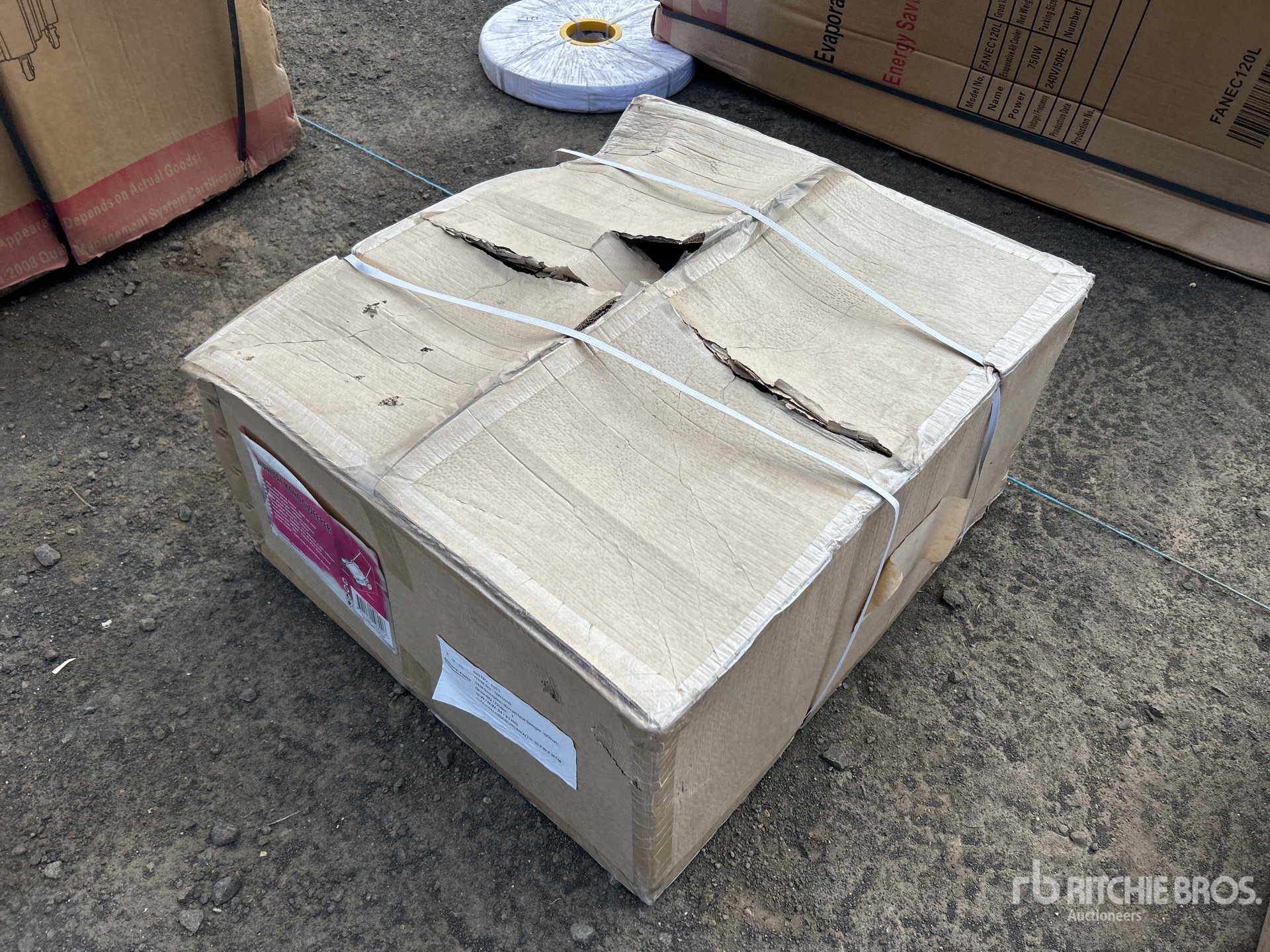 General Appearance with Foto, angolo anteriore sinistro