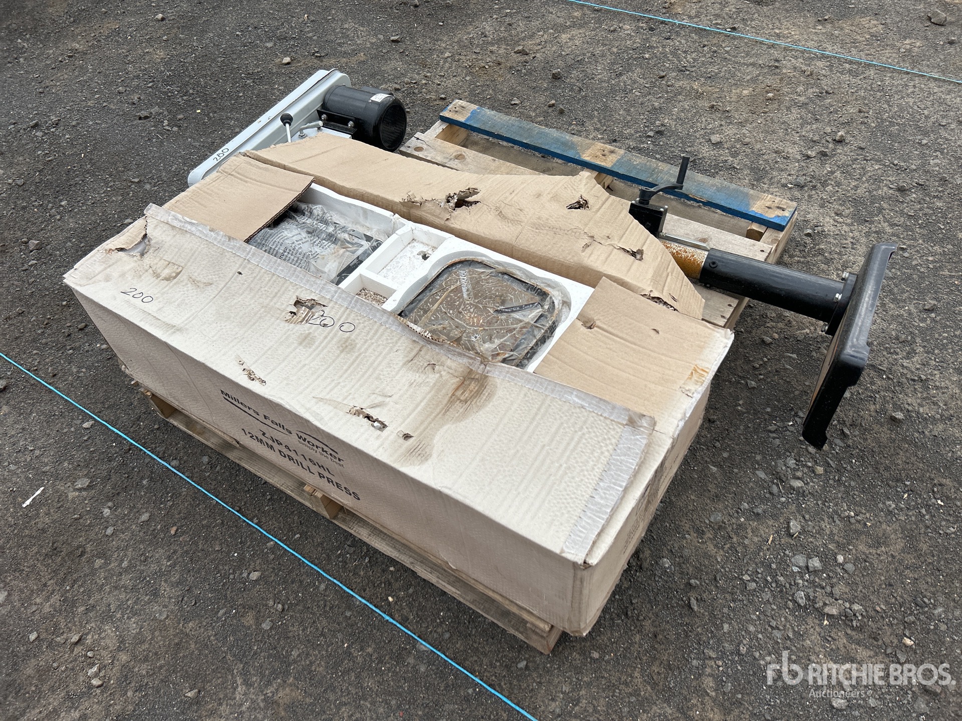 General Appearance with Foto, angolo anteriore sinistro