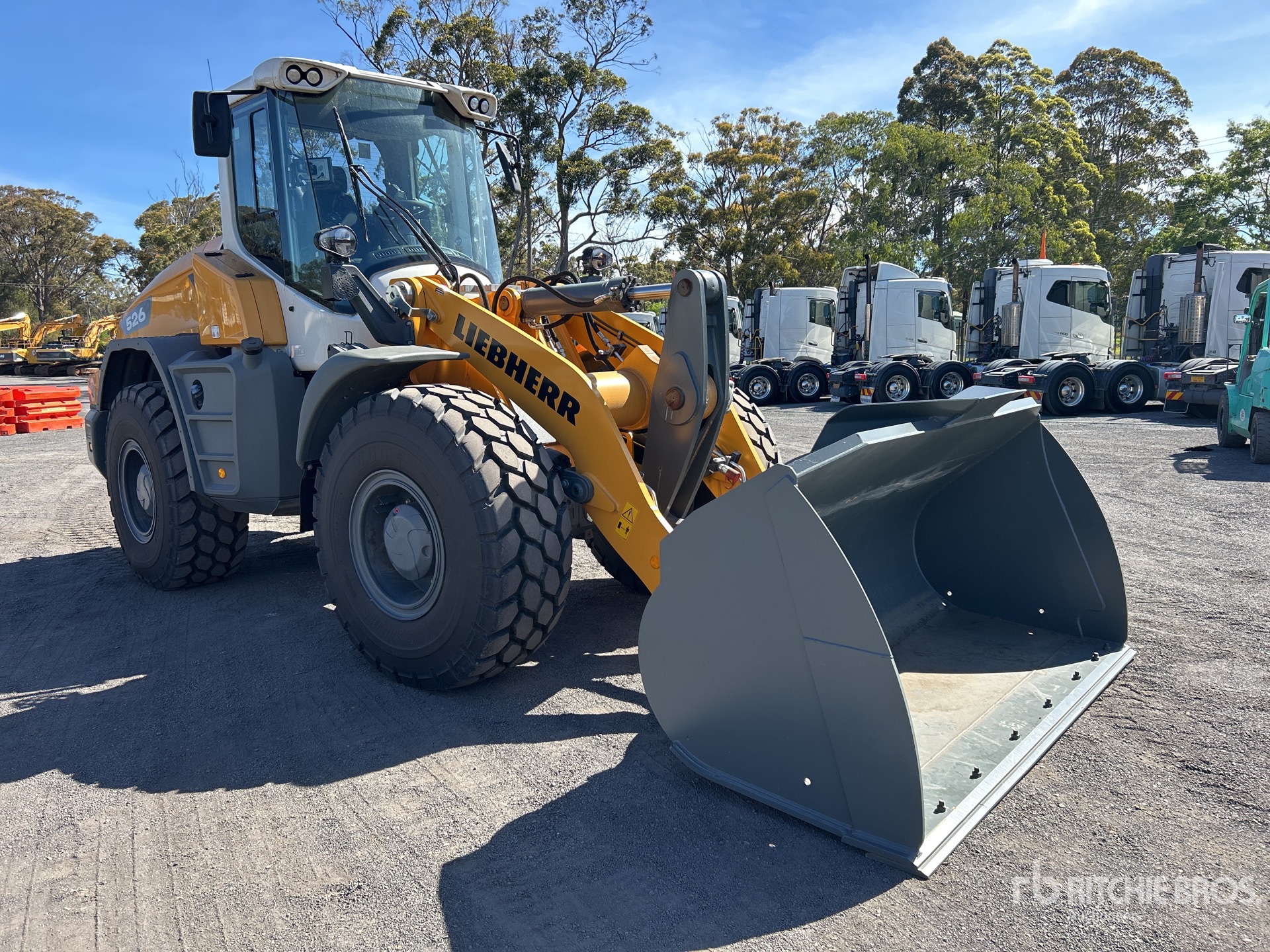 General Appearance with Picture, Right Front Corner