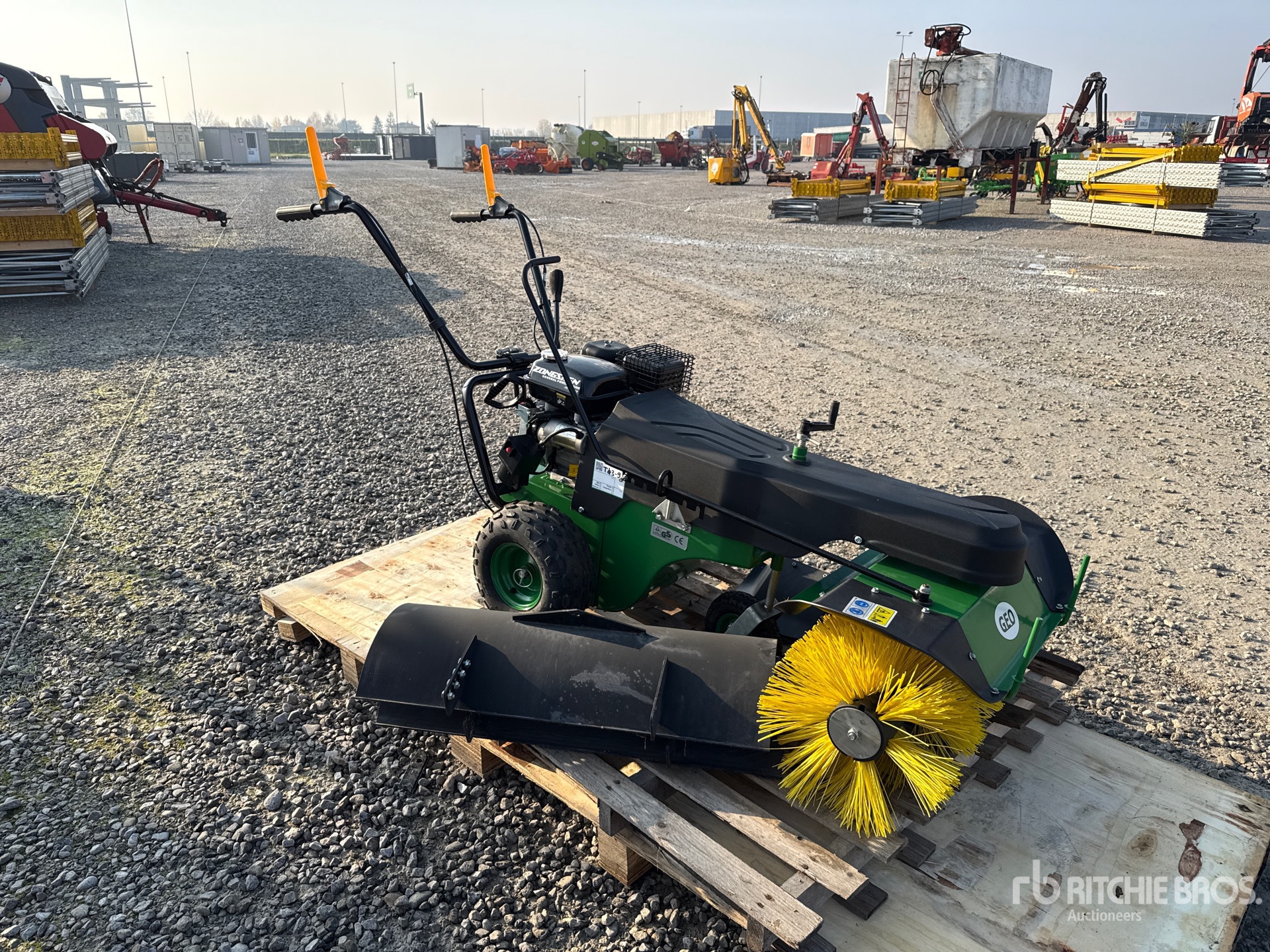 General Appearance with 