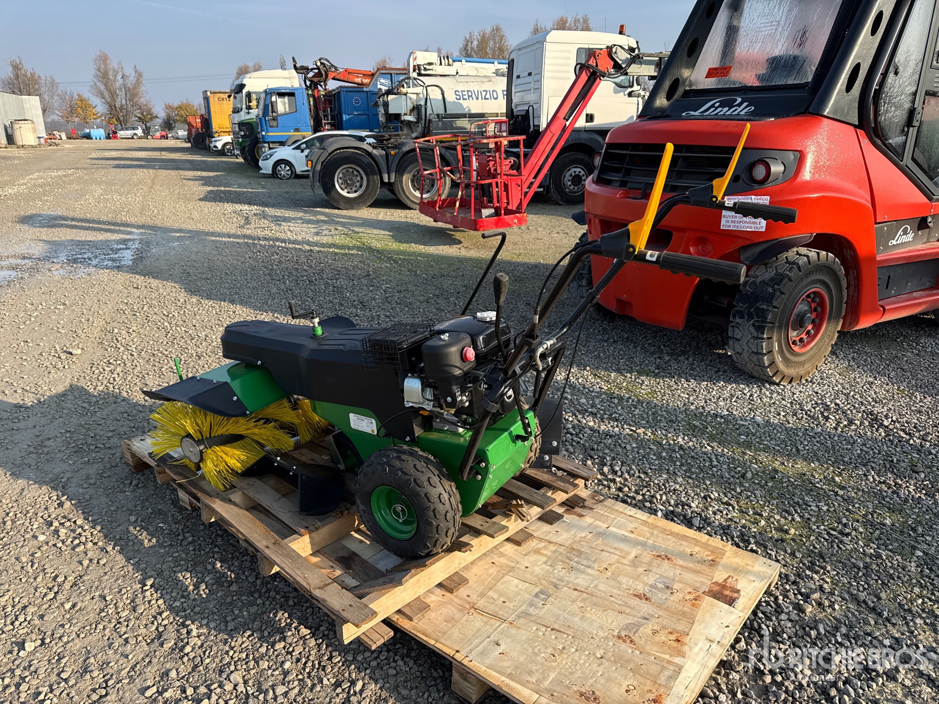 General Appearance with 