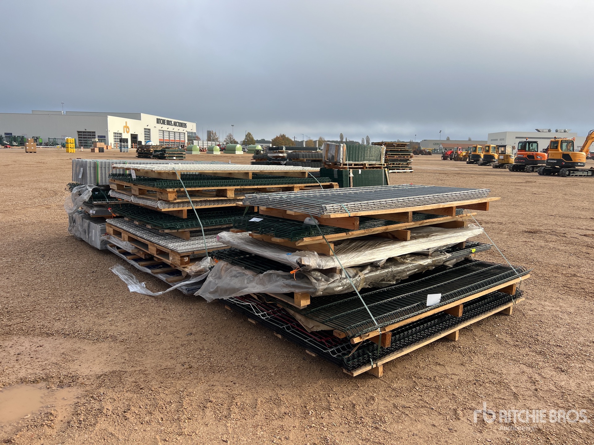 General Appearance with