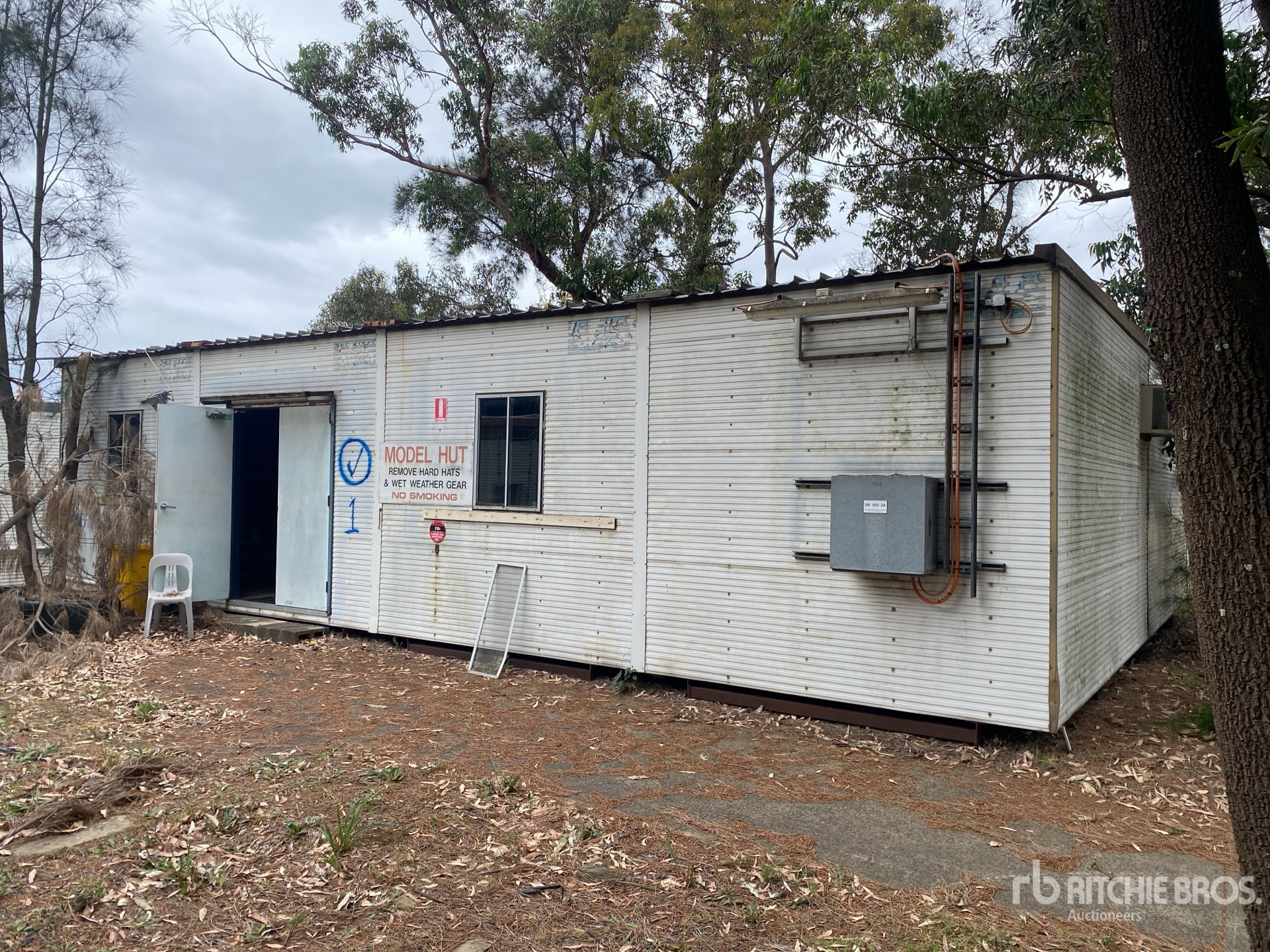 General Appearance with