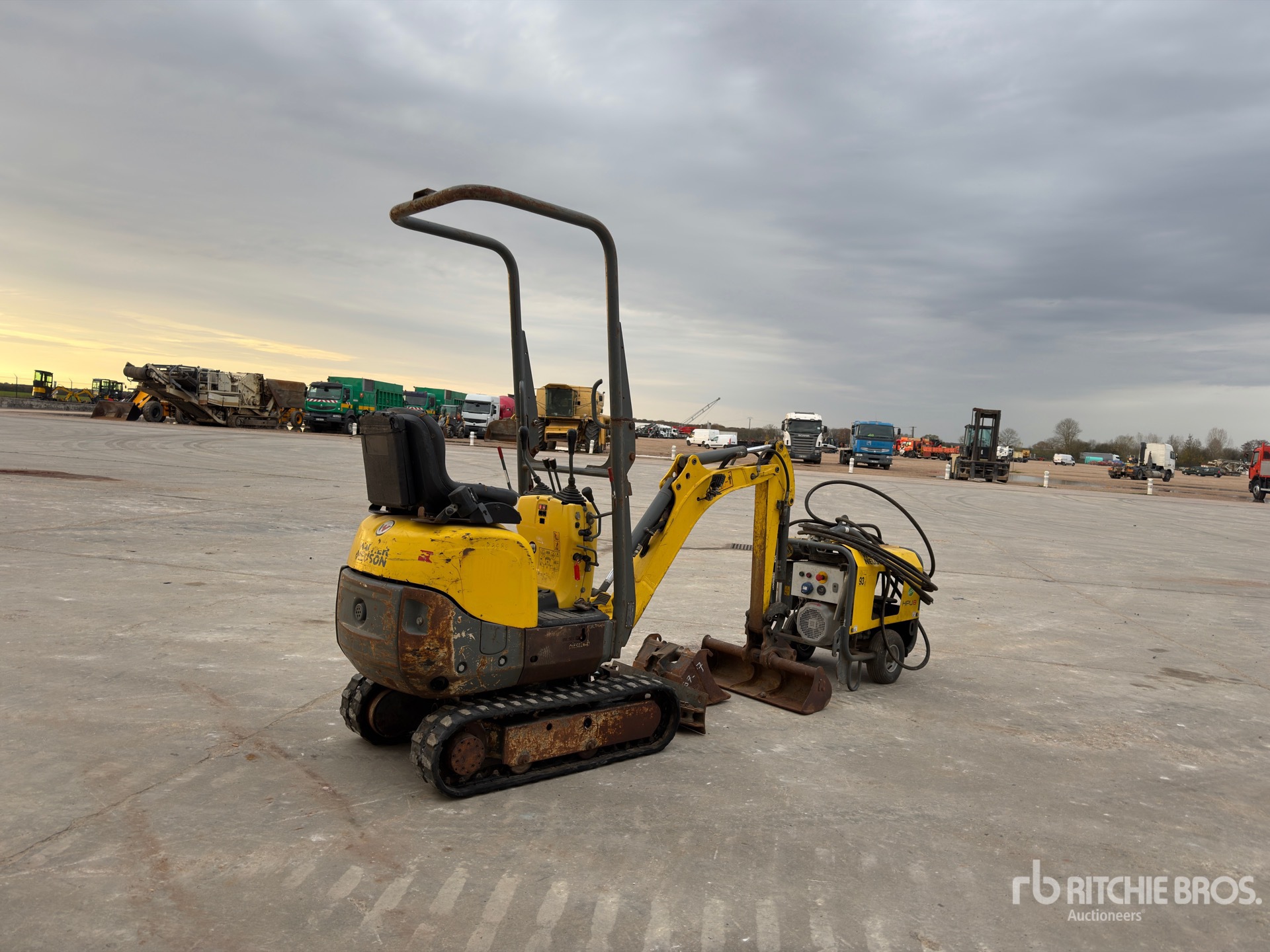 General Appearance with