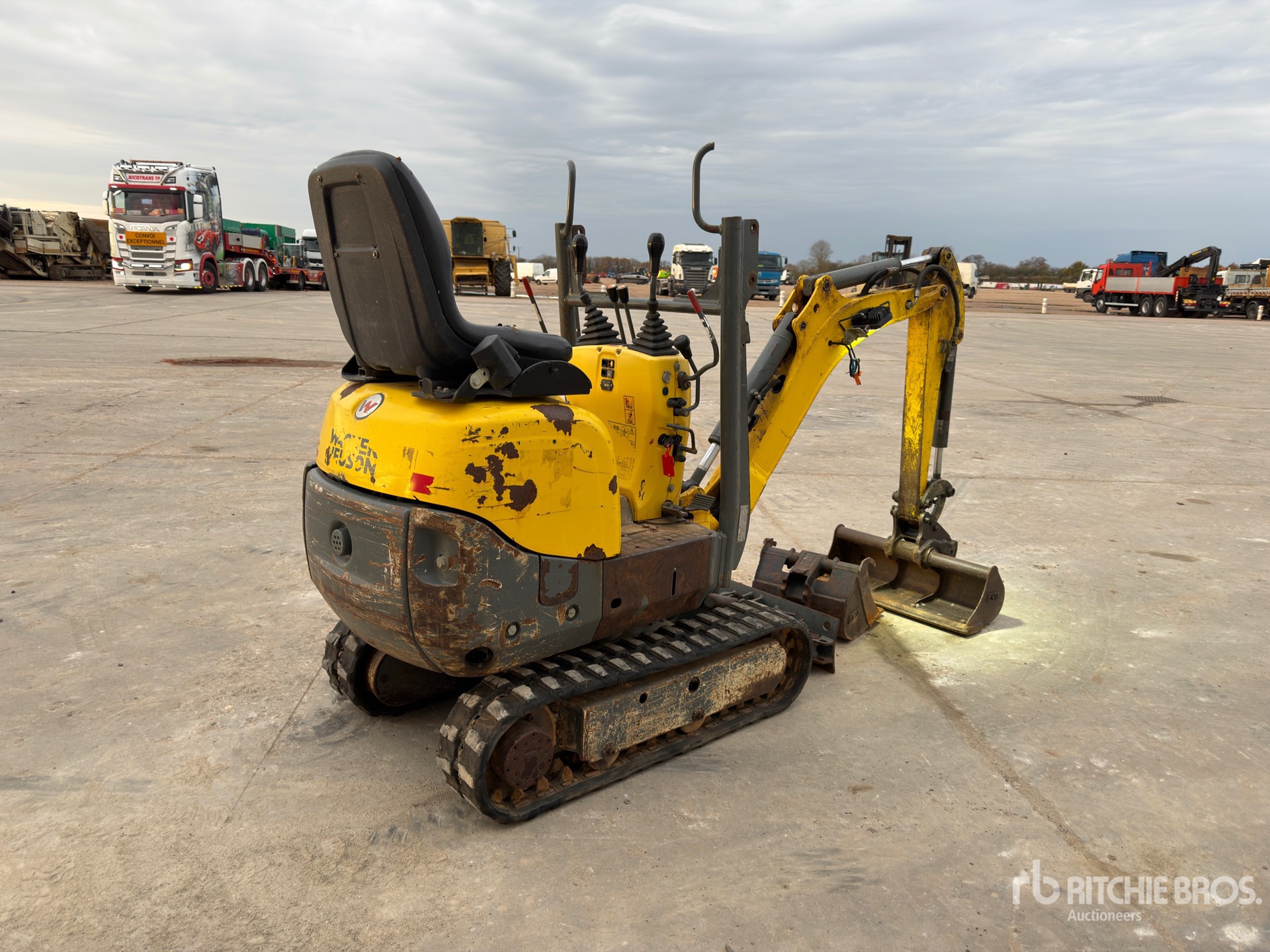 General Appearance with 