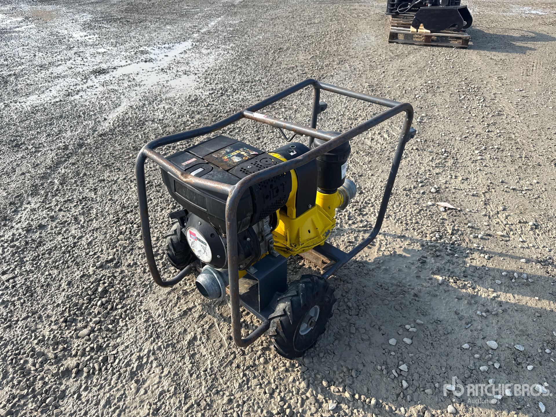 General Appearance with