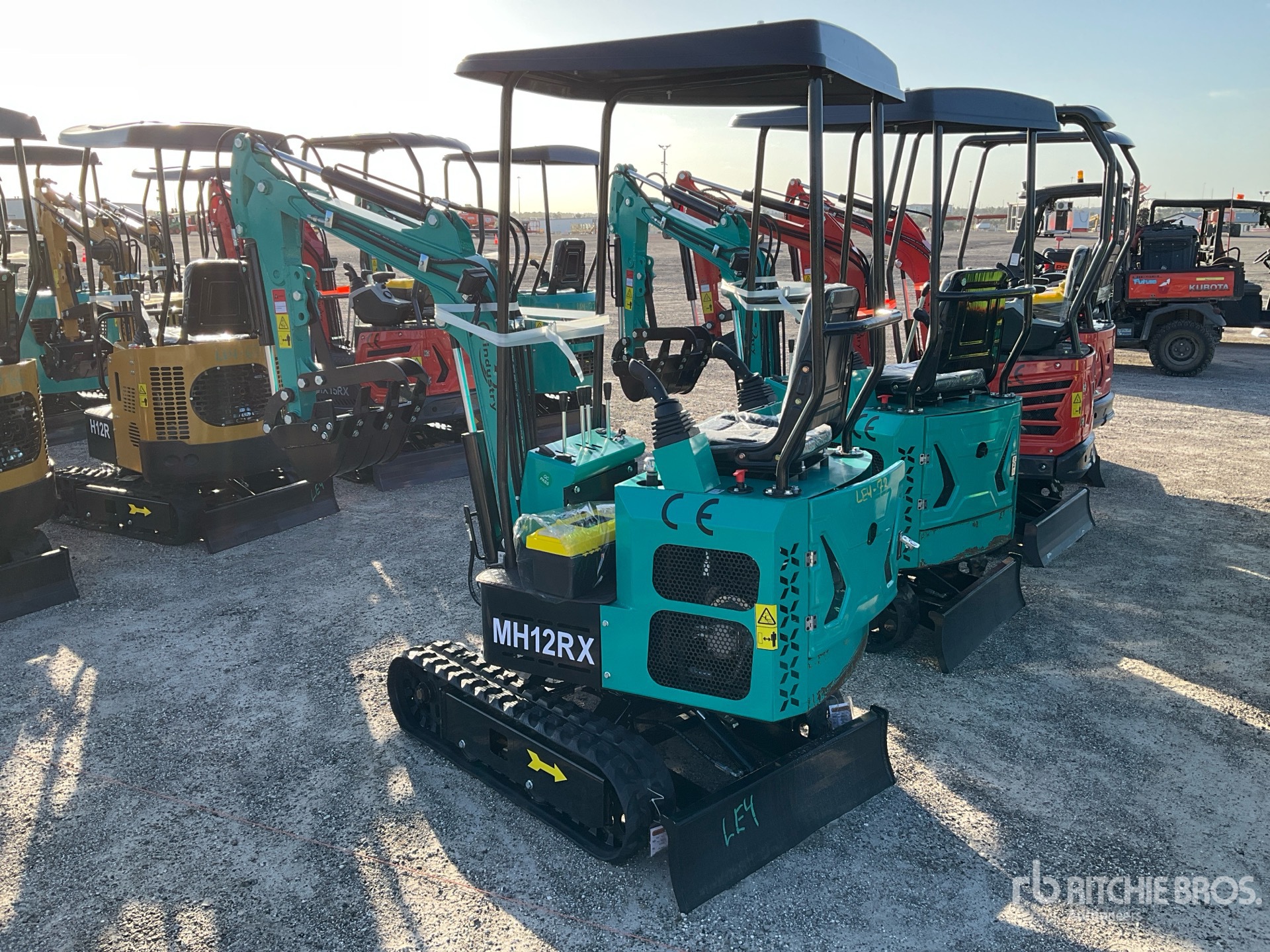 General Appearance with Picture, Left Rear Corner