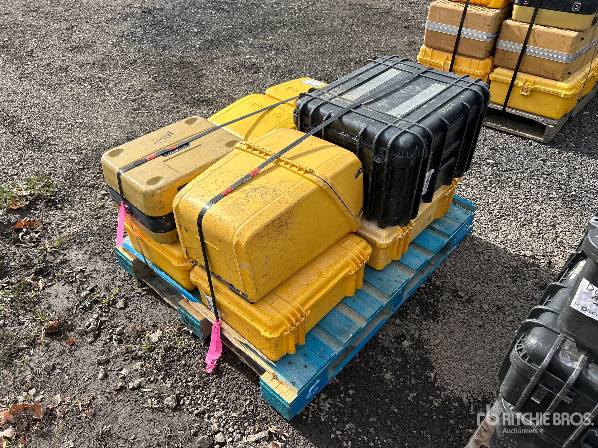 General Appearance with Image, coin arrière droit