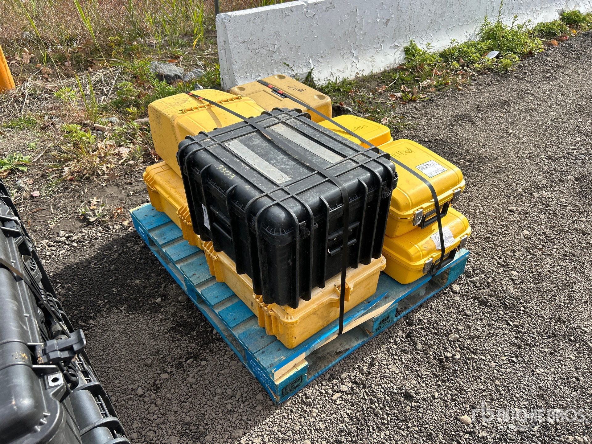 General Appearance with Image, coin avant droit