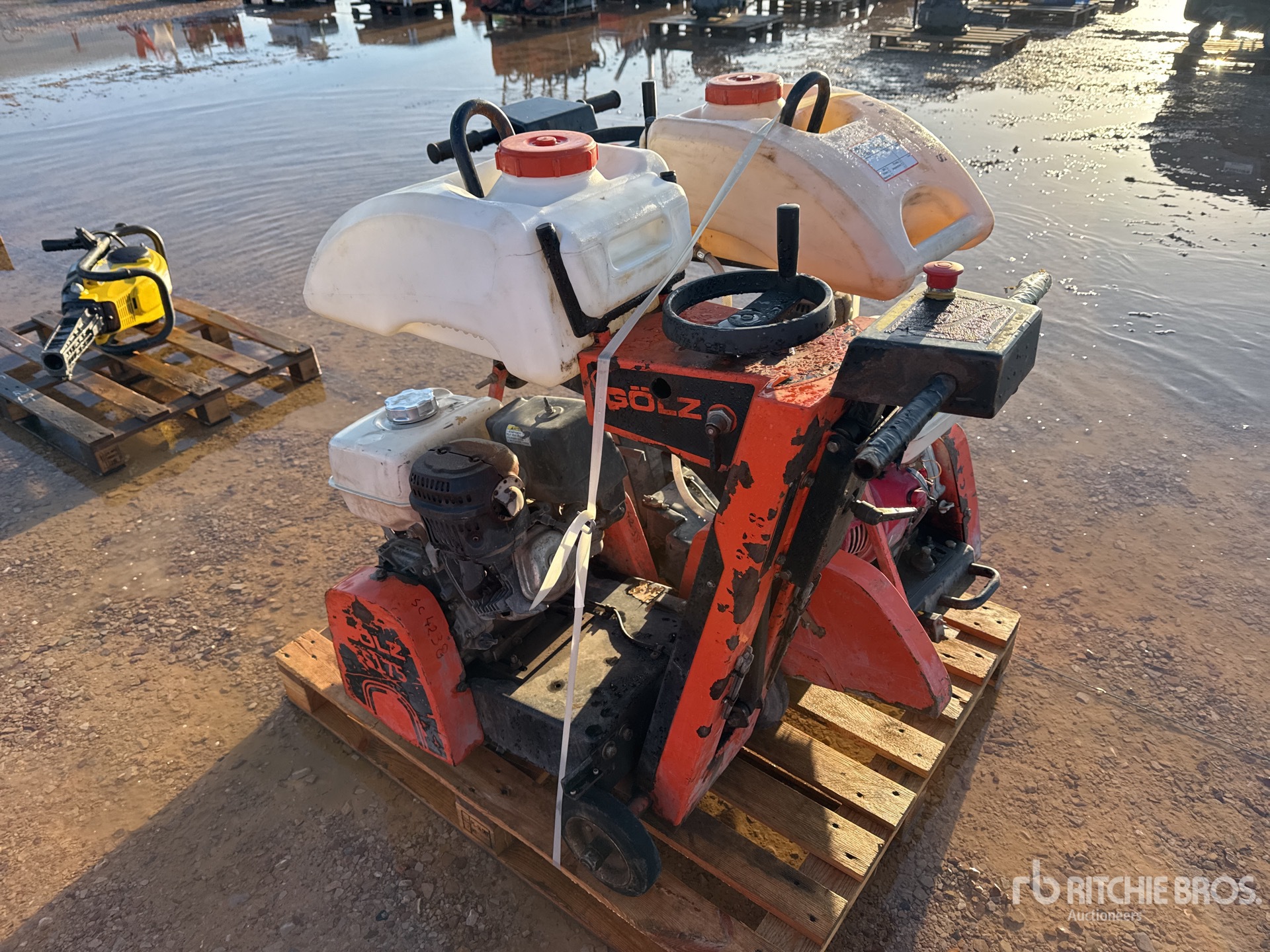 General Appearance with 