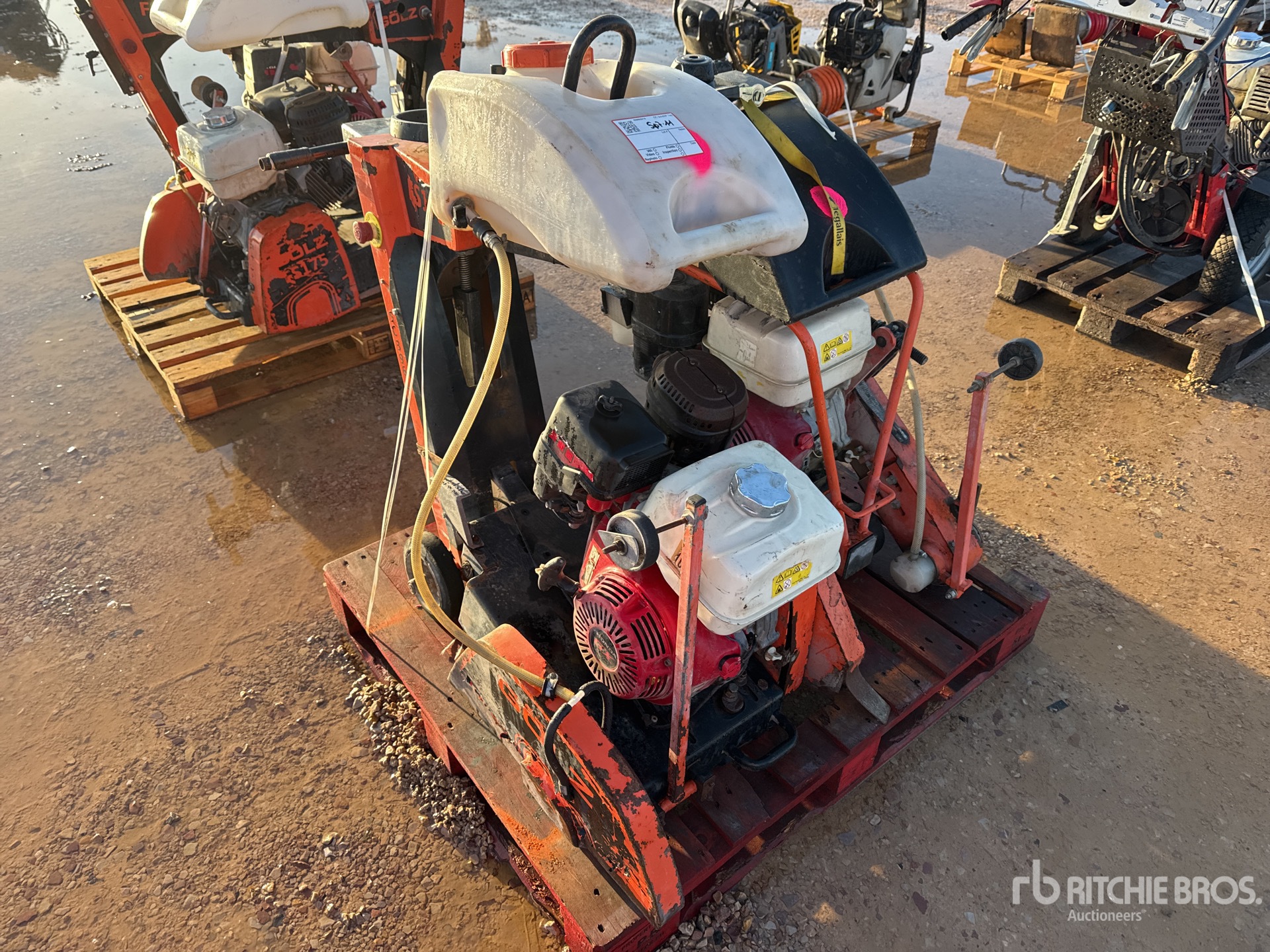 General Appearance with 