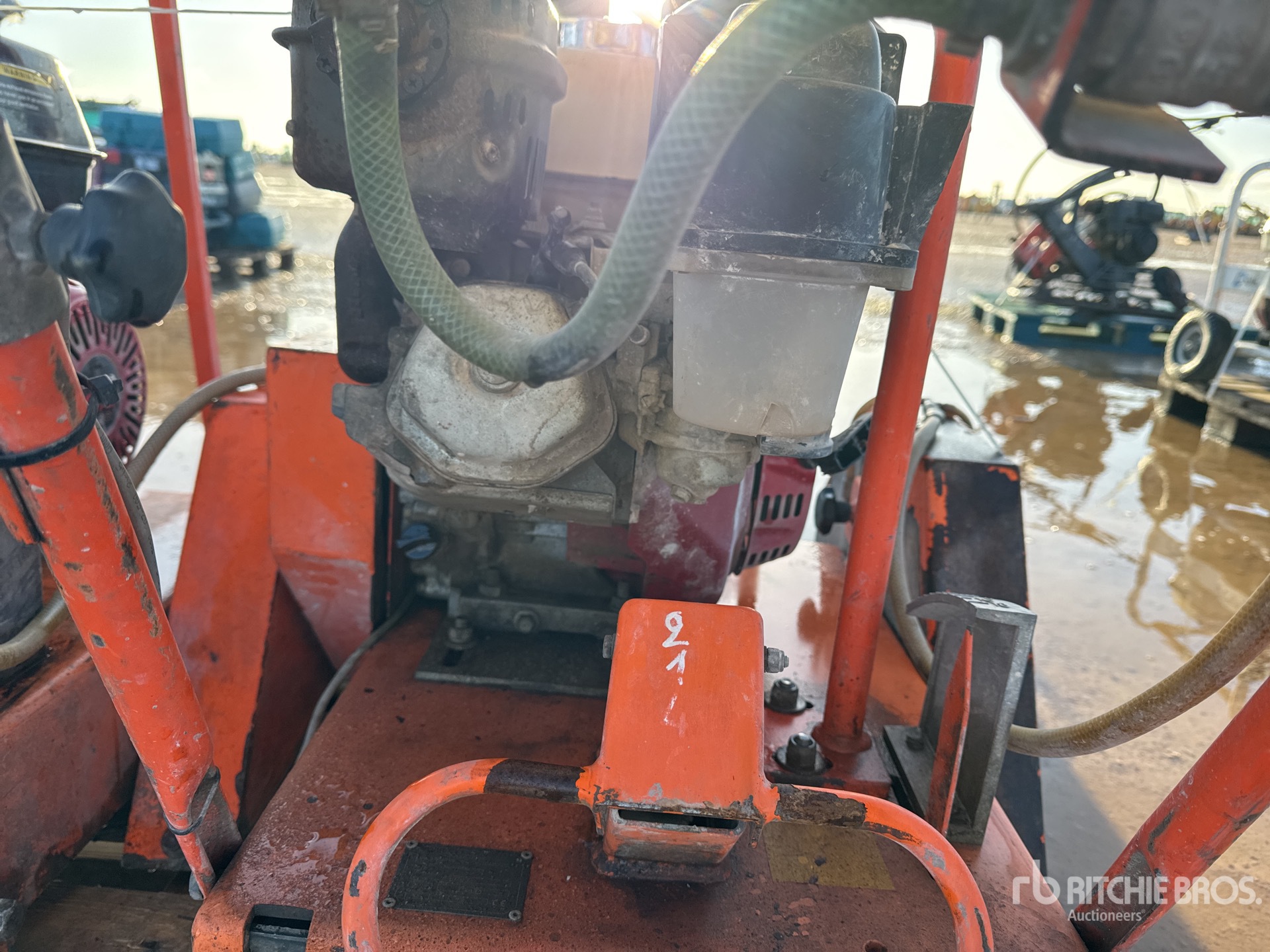 General Appearance with 