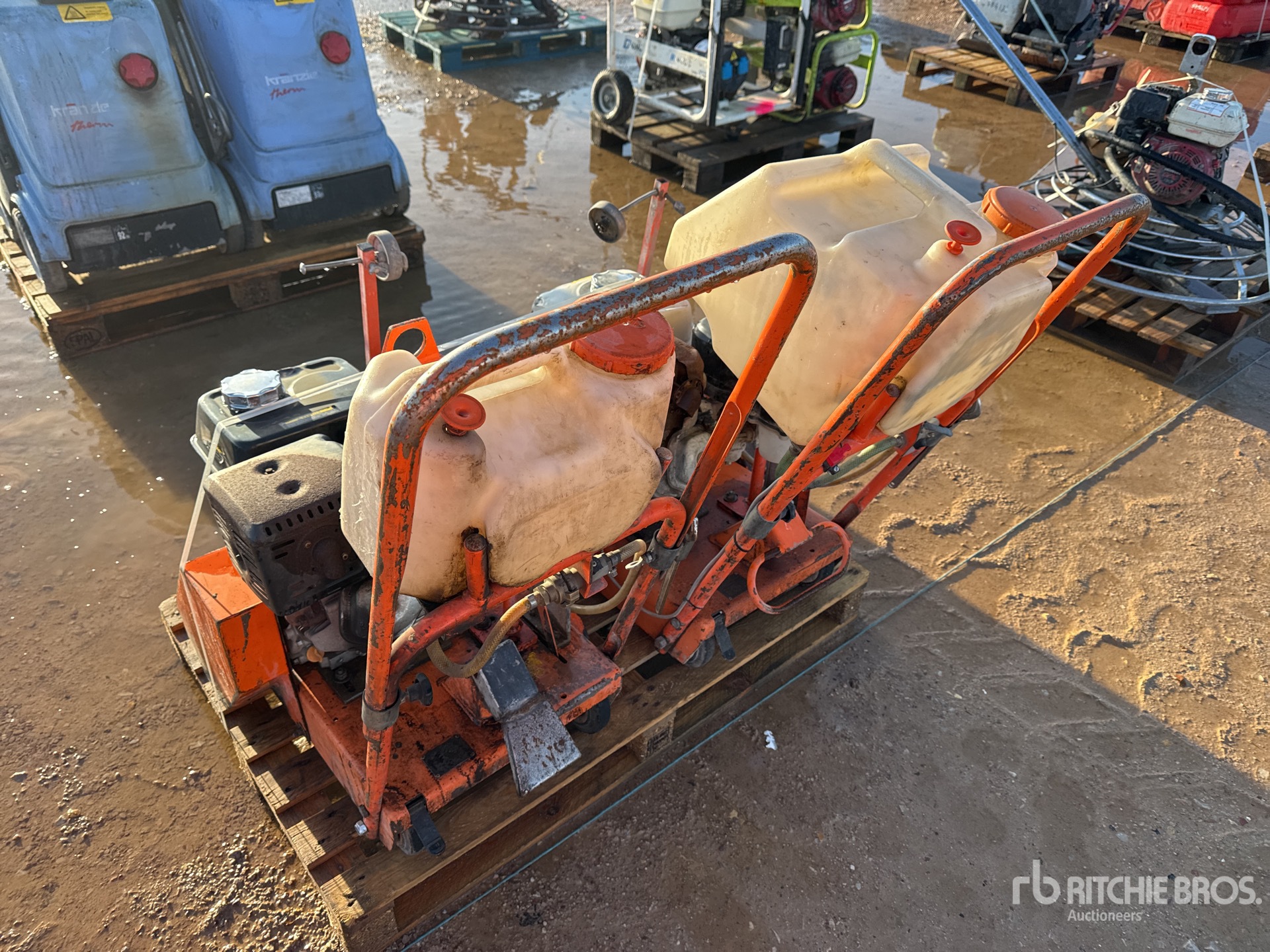 General Appearance with 