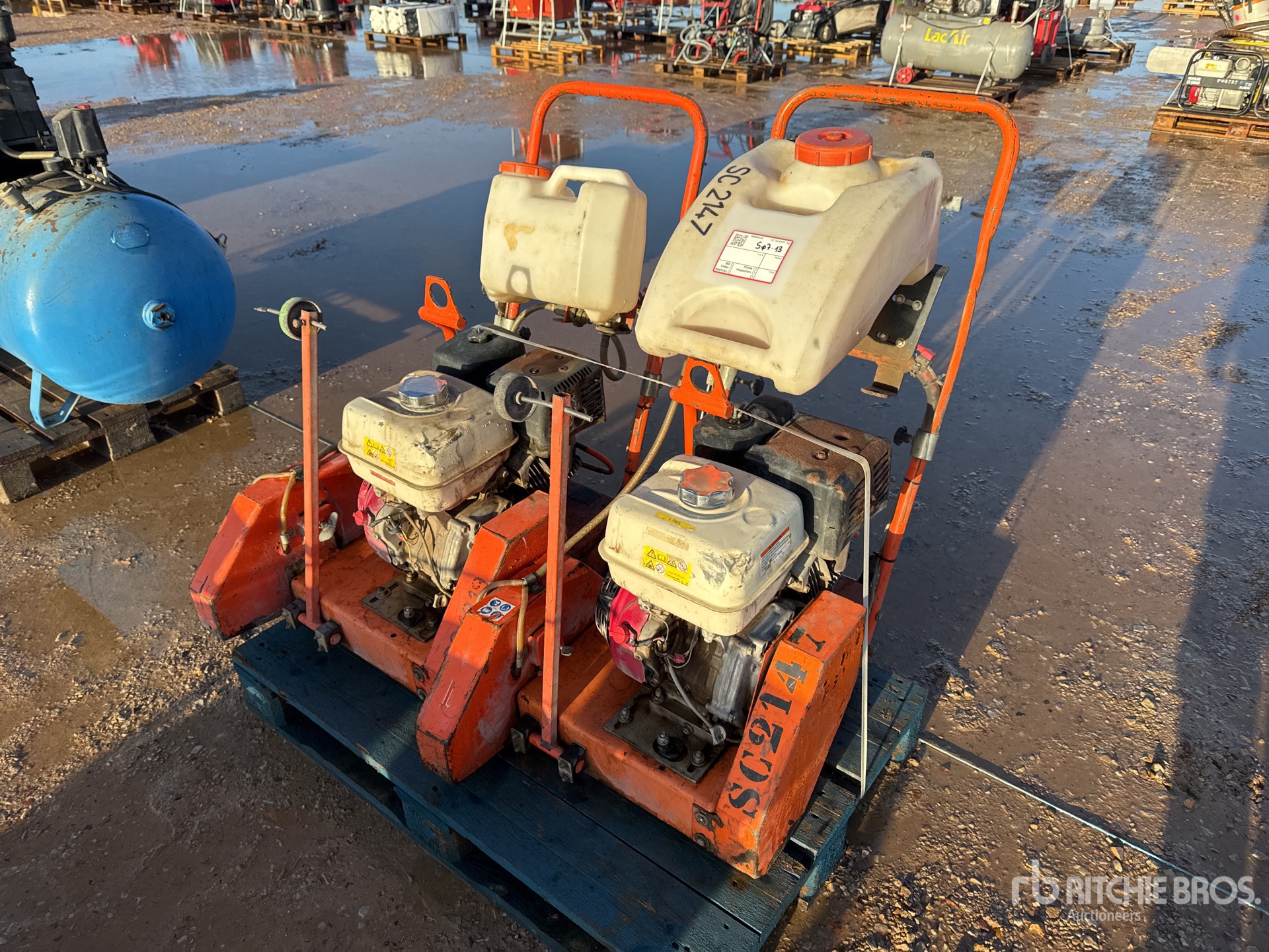 General Appearance with 