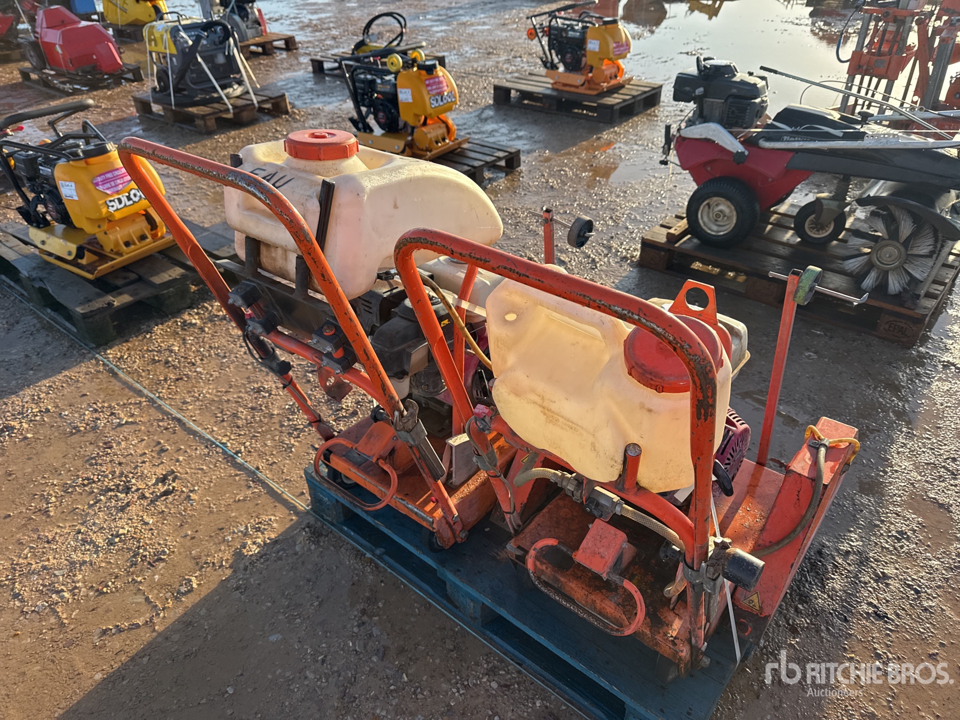 General Appearance with 