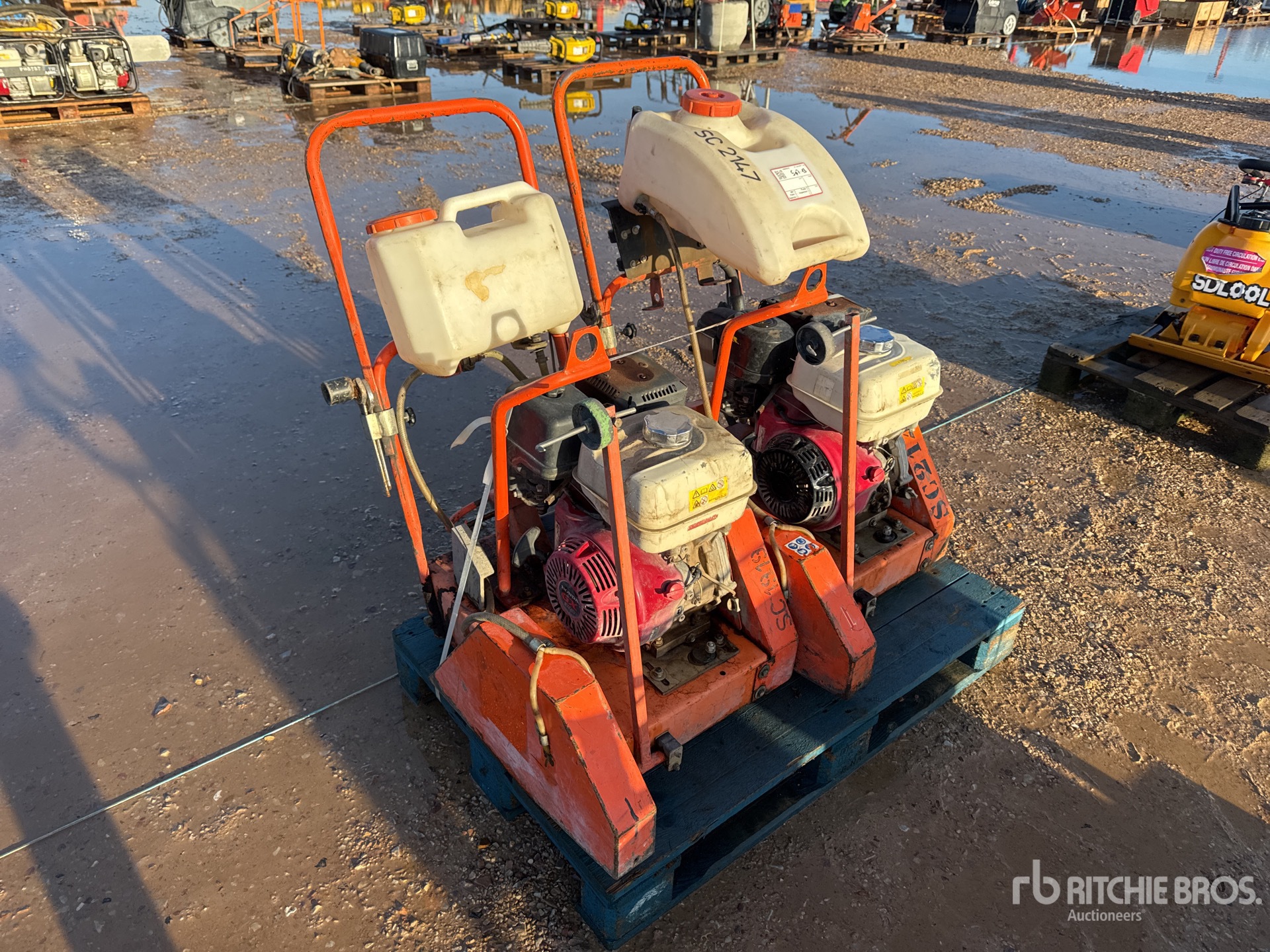 General Appearance with 