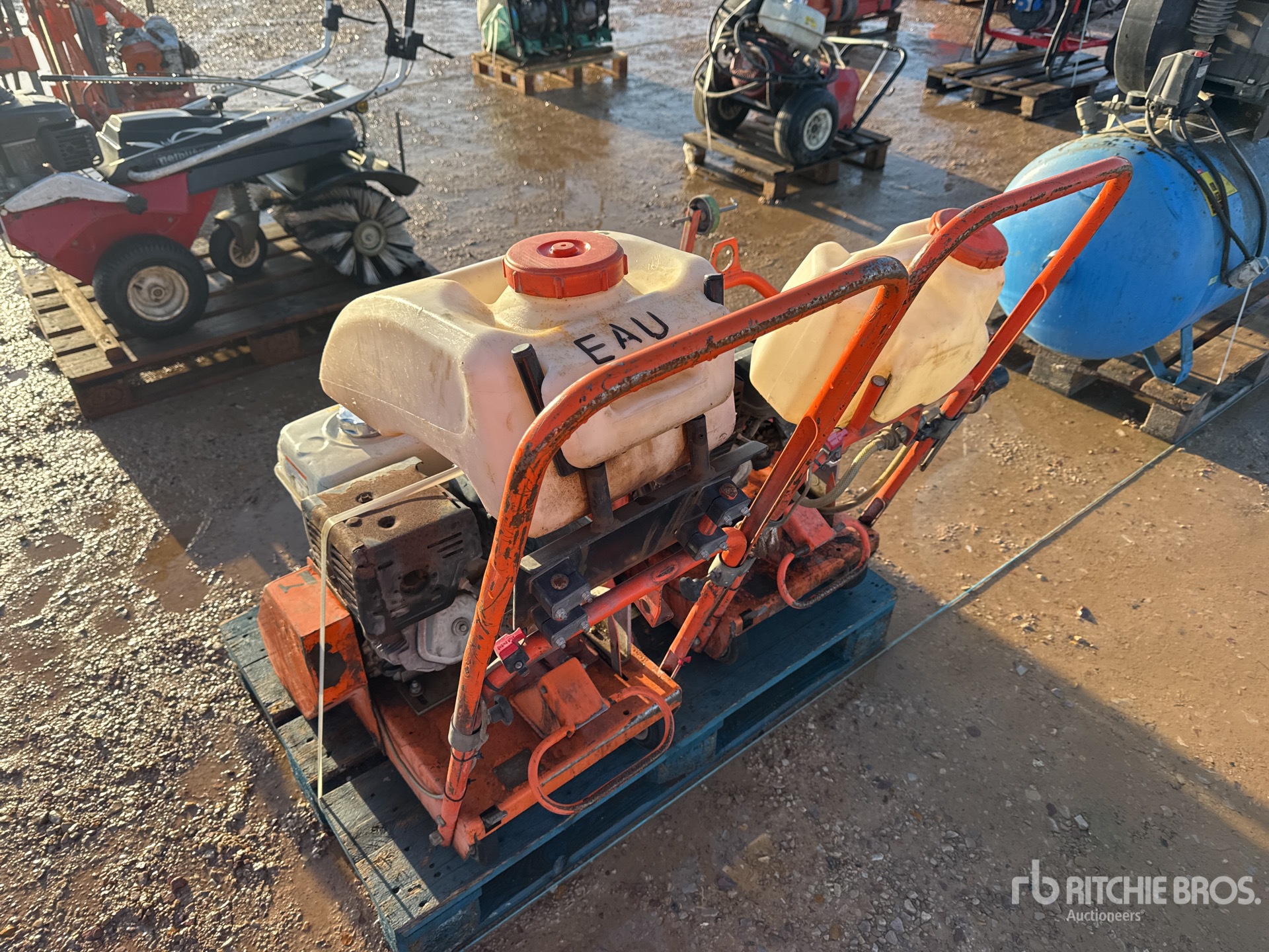 General Appearance with 