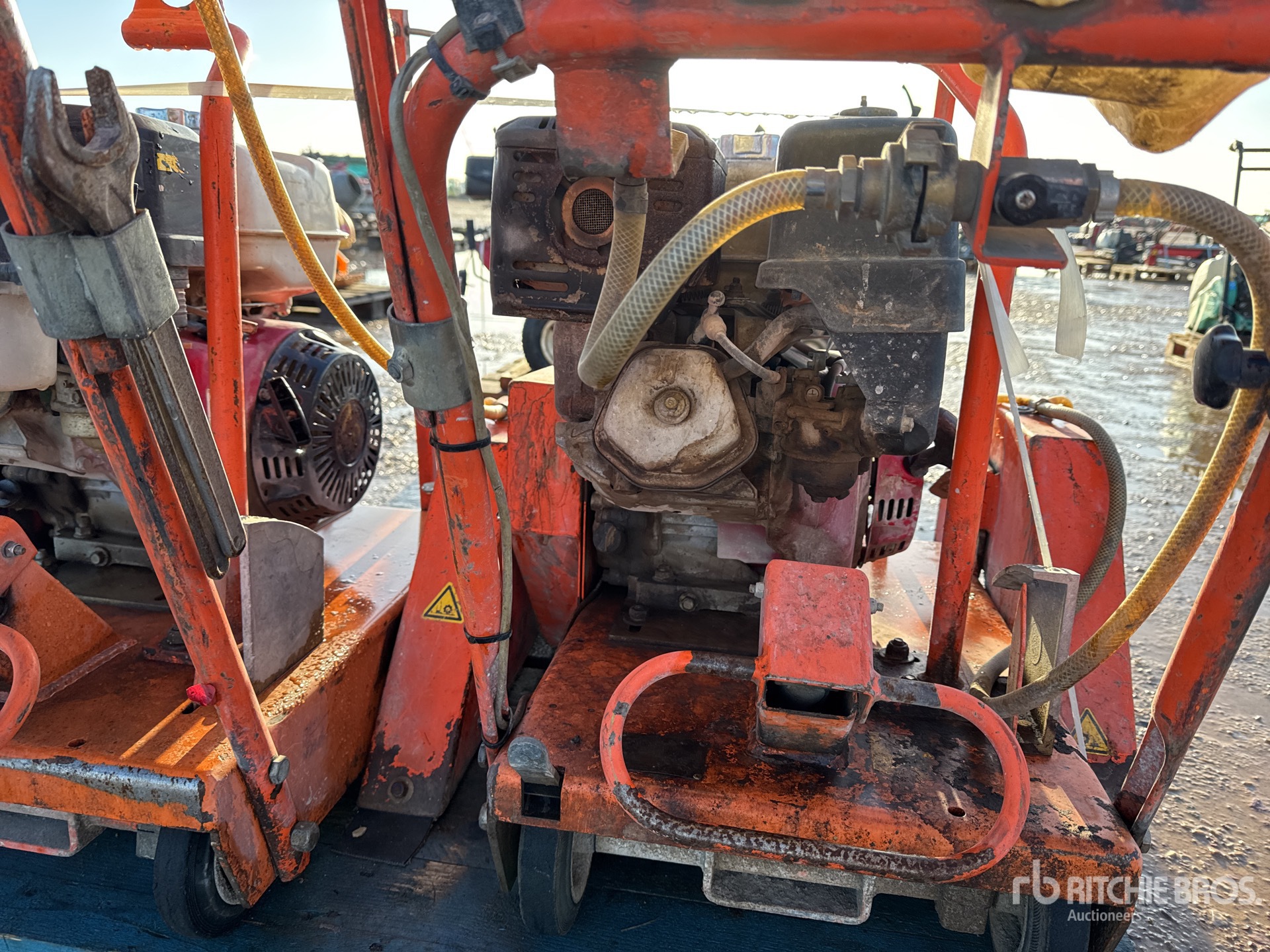 General Appearance with 