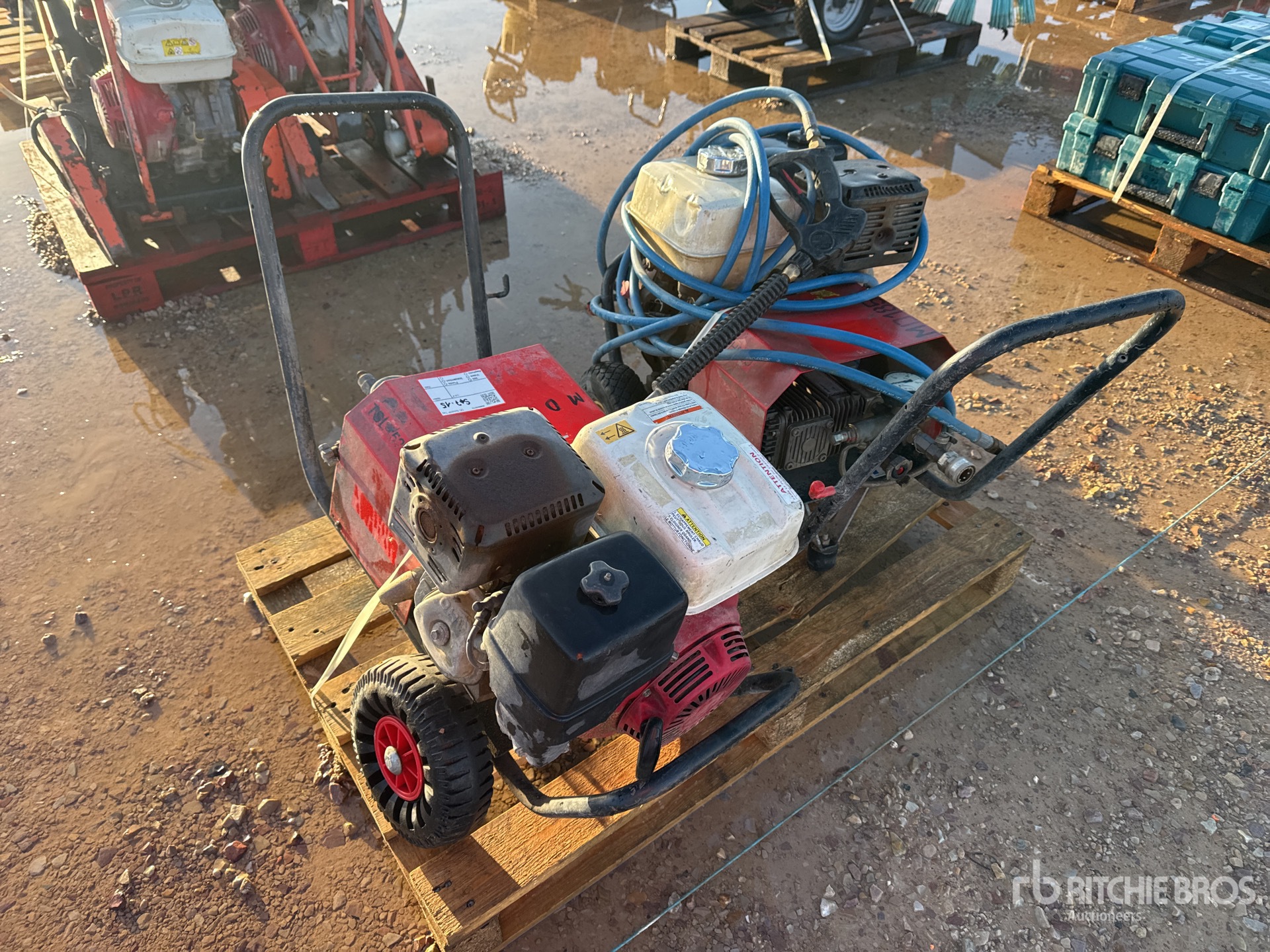 General Appearance with 