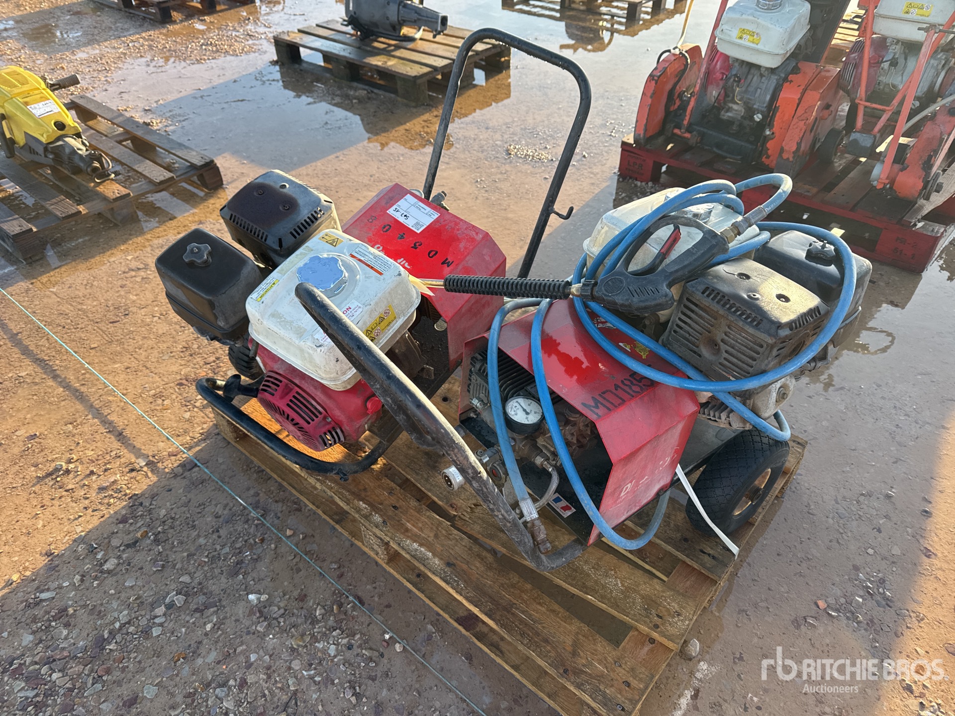 General Appearance with 