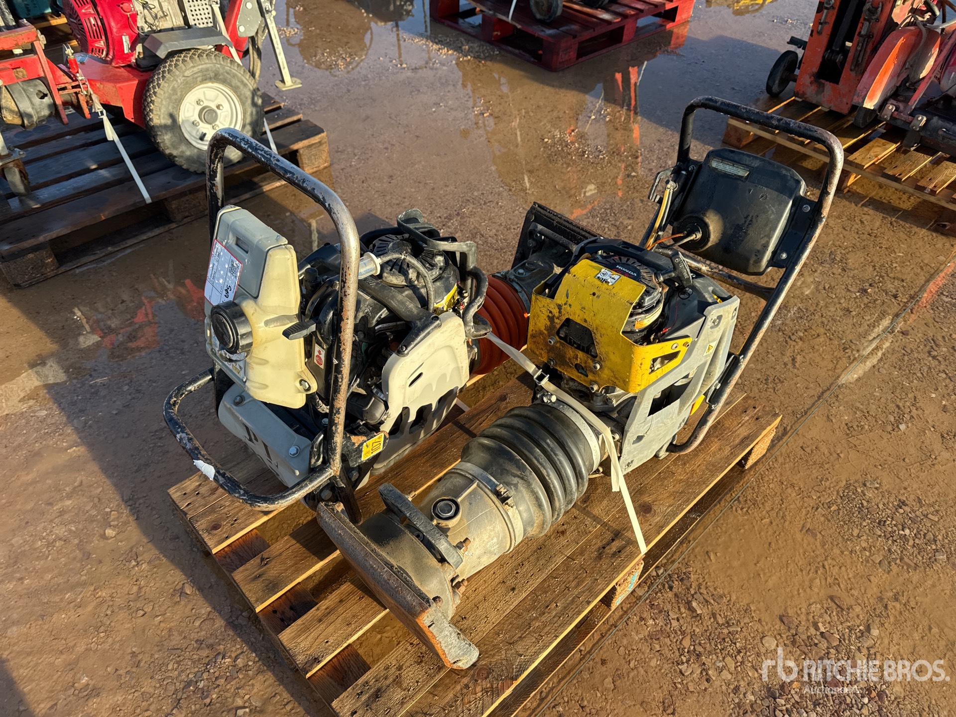 General Appearance with 