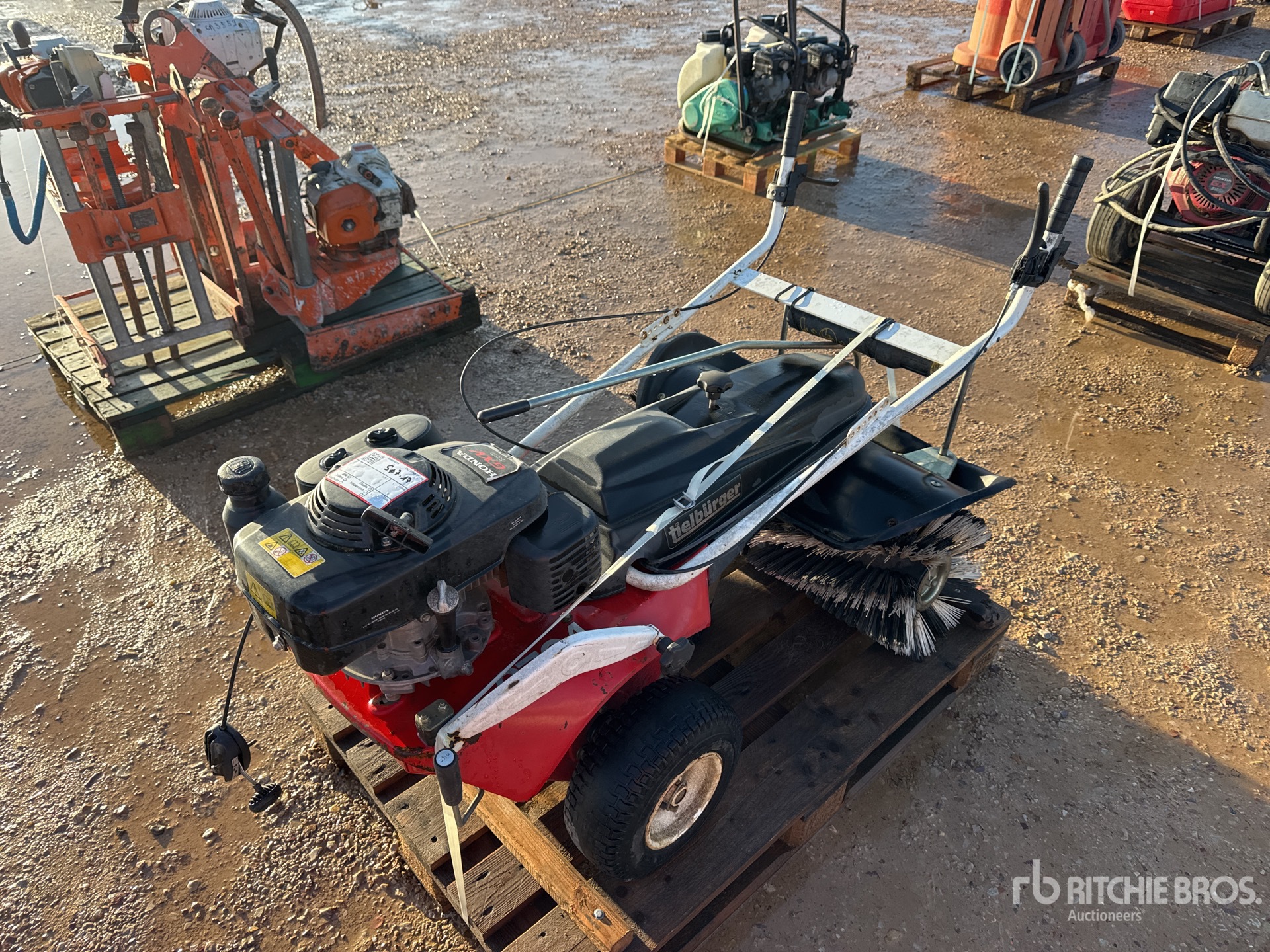 General Appearance with 