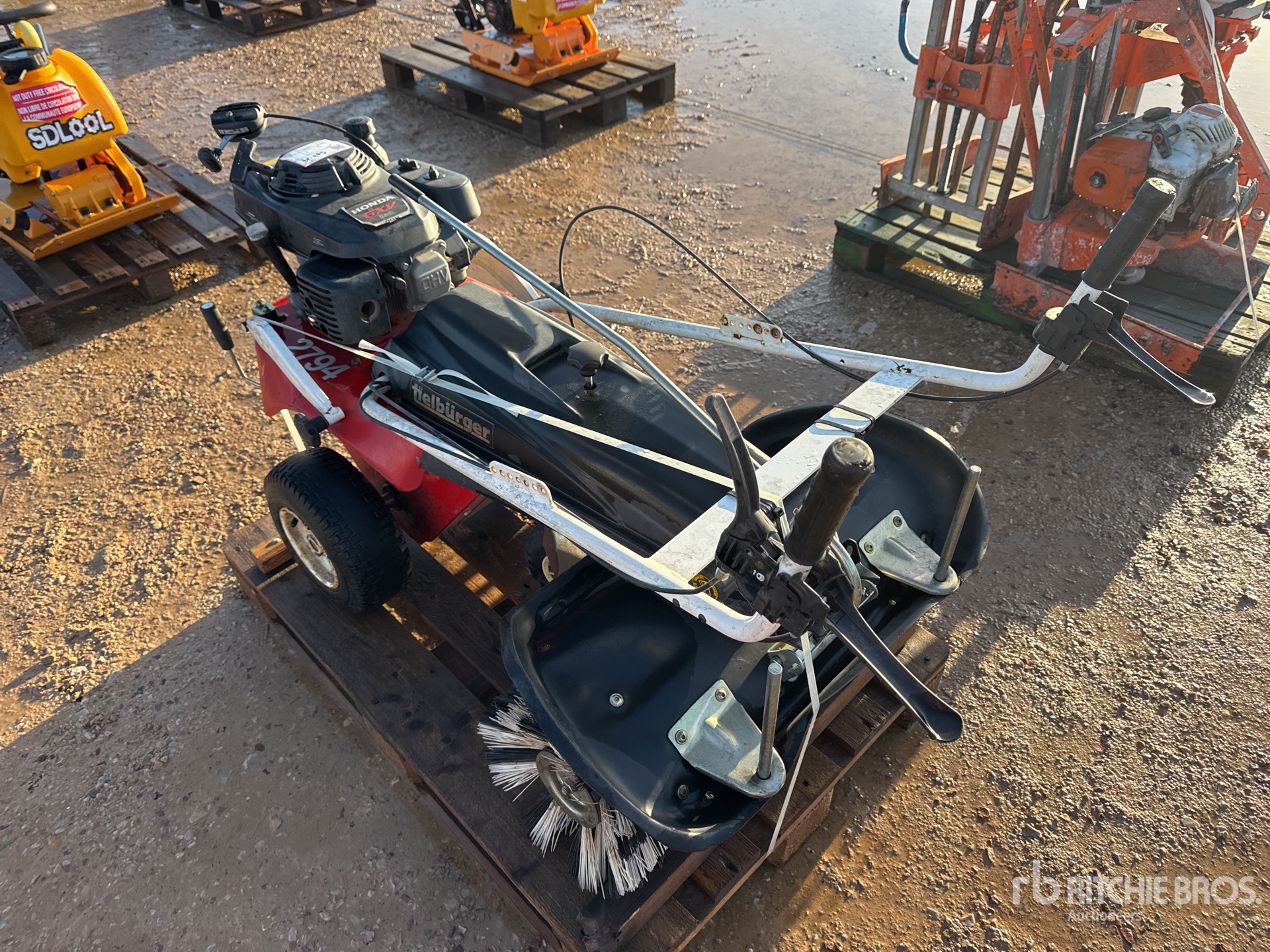 General Appearance with 