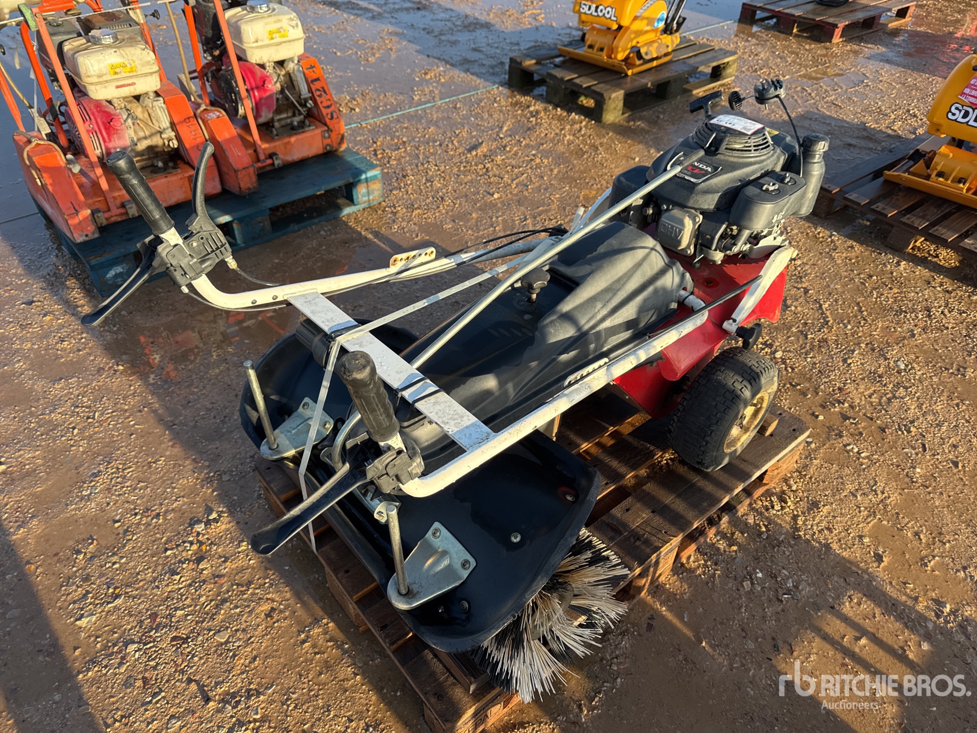 General Appearance with 