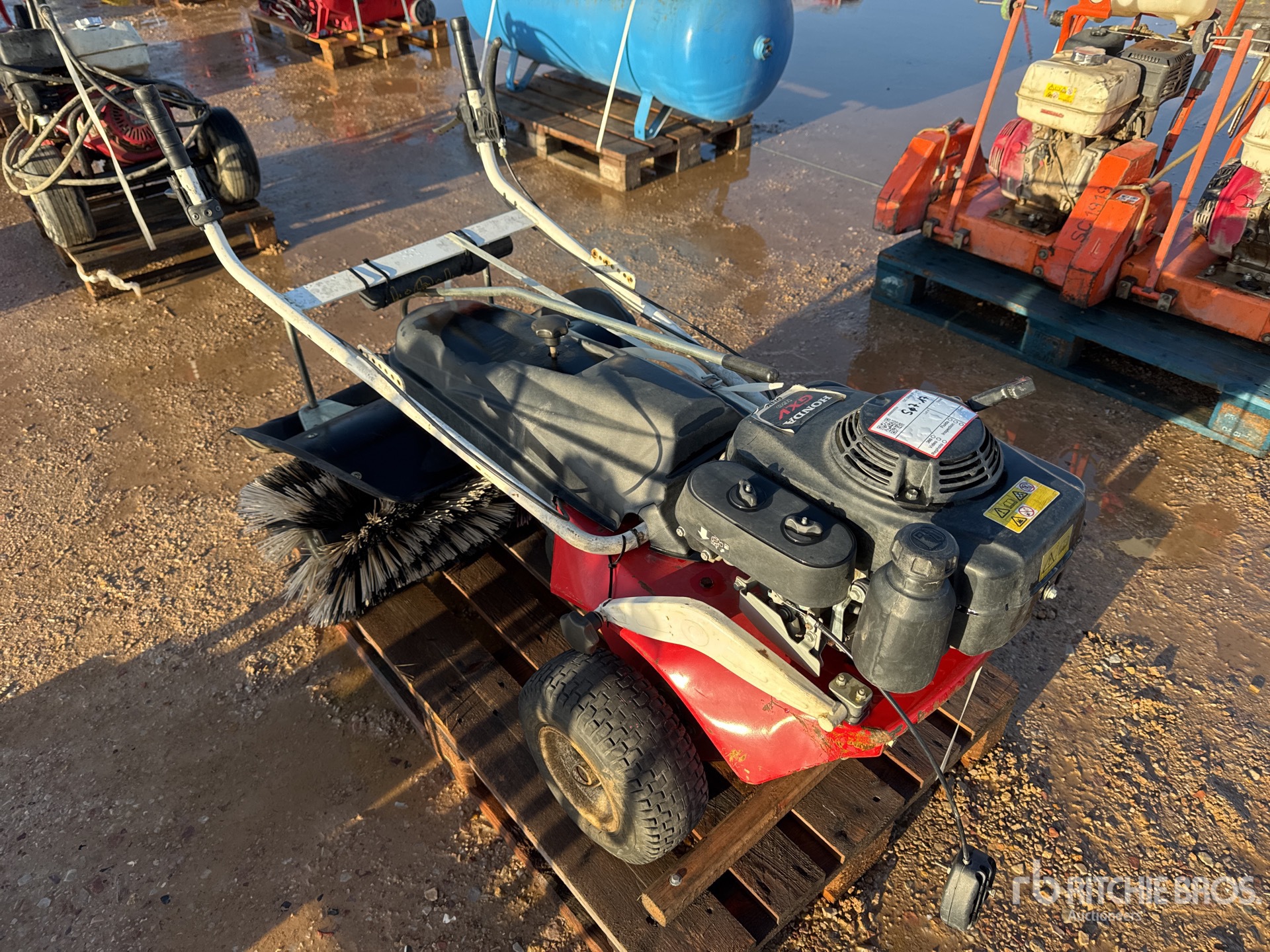 General Appearance with 