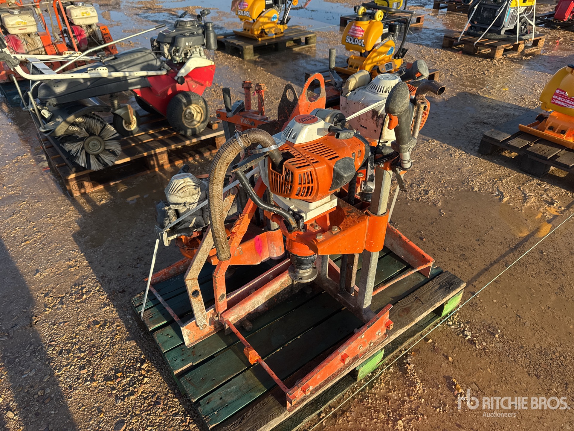 General Appearance with 