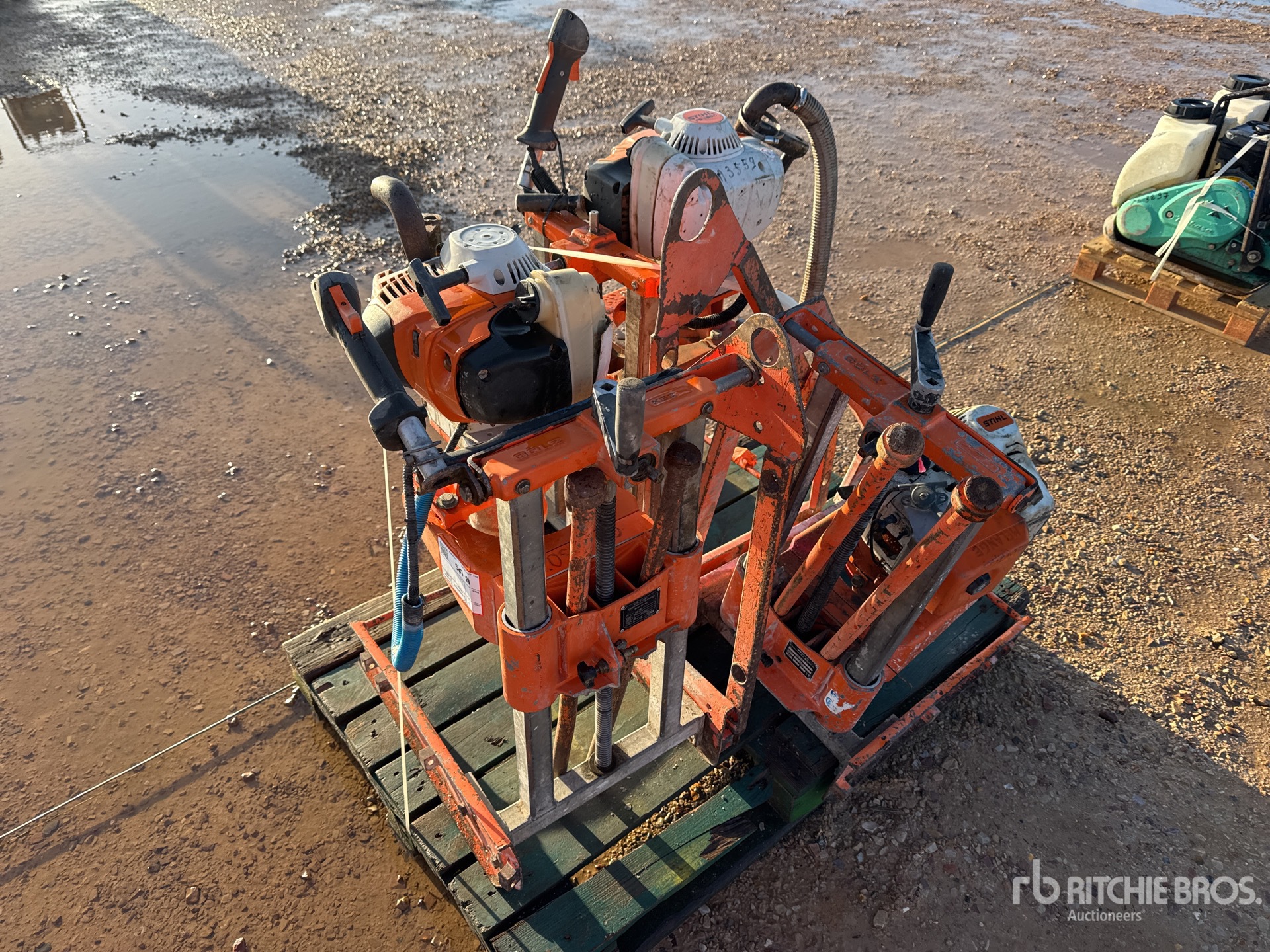 General Appearance with 