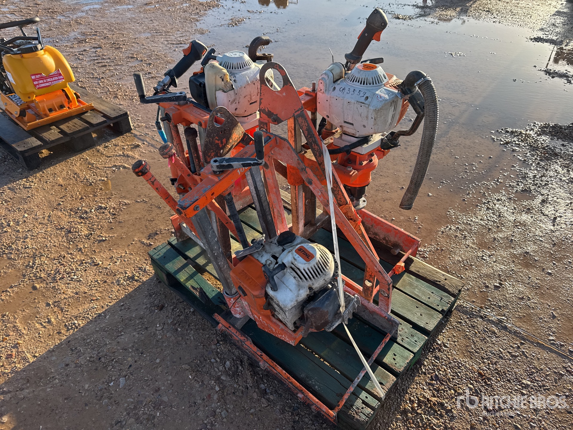 General Appearance with 