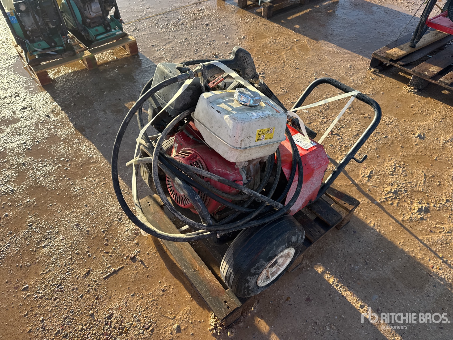 General Appearance with 