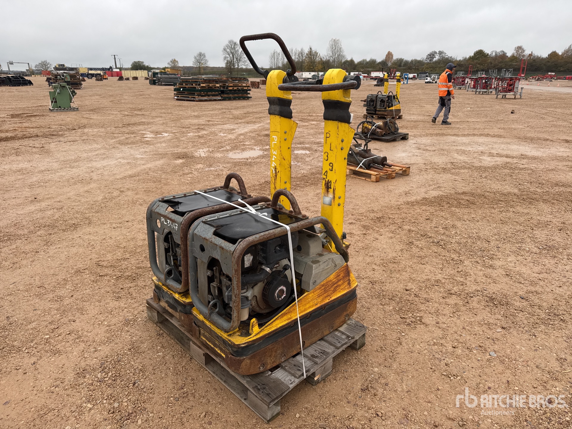 General Appearance with