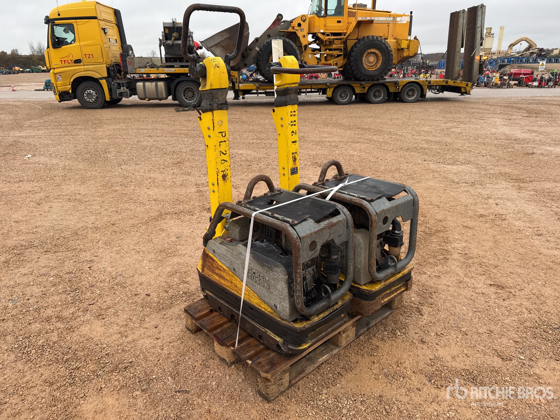 General Appearance with