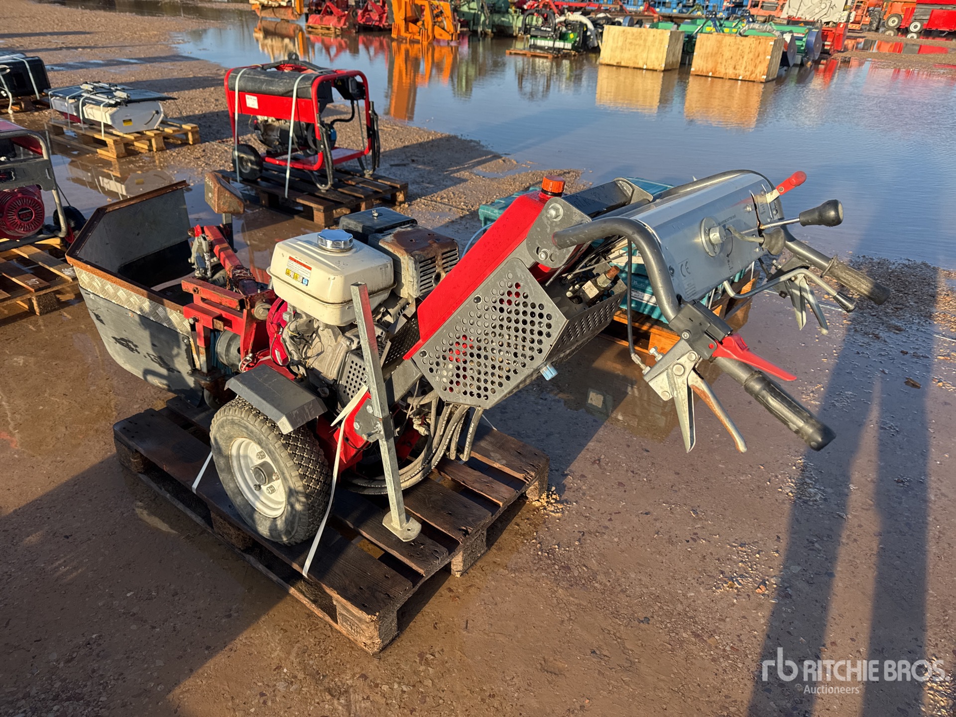 General Appearance with 