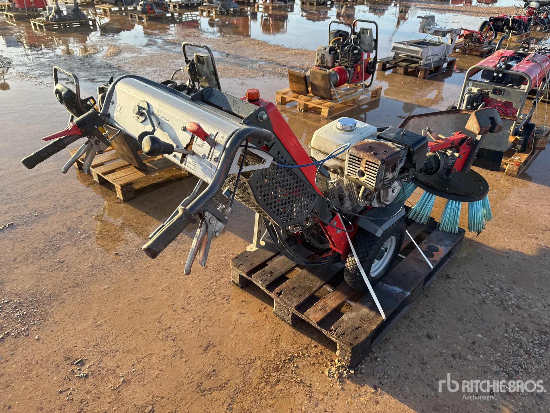 General Appearance with 