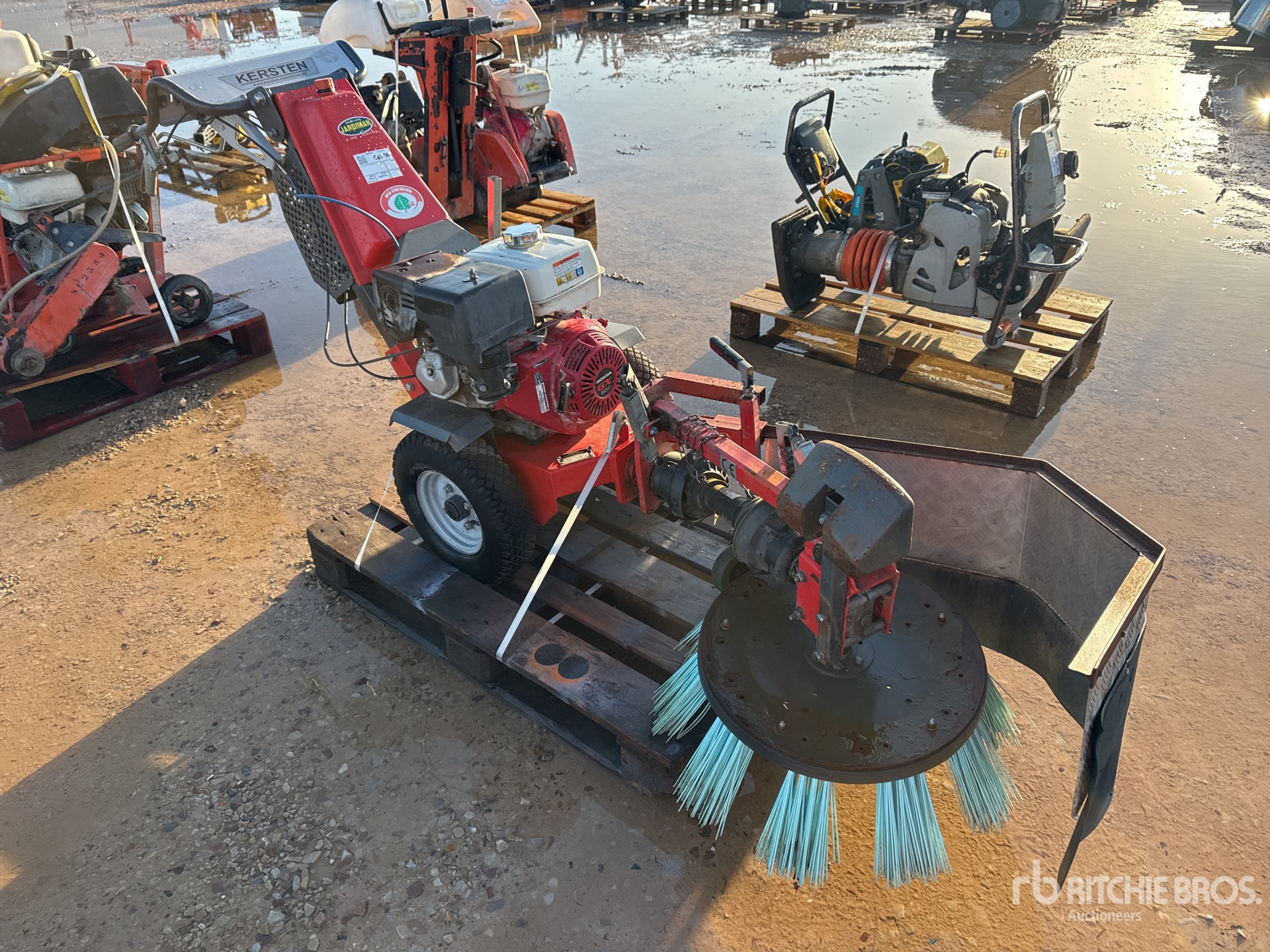 General Appearance with 