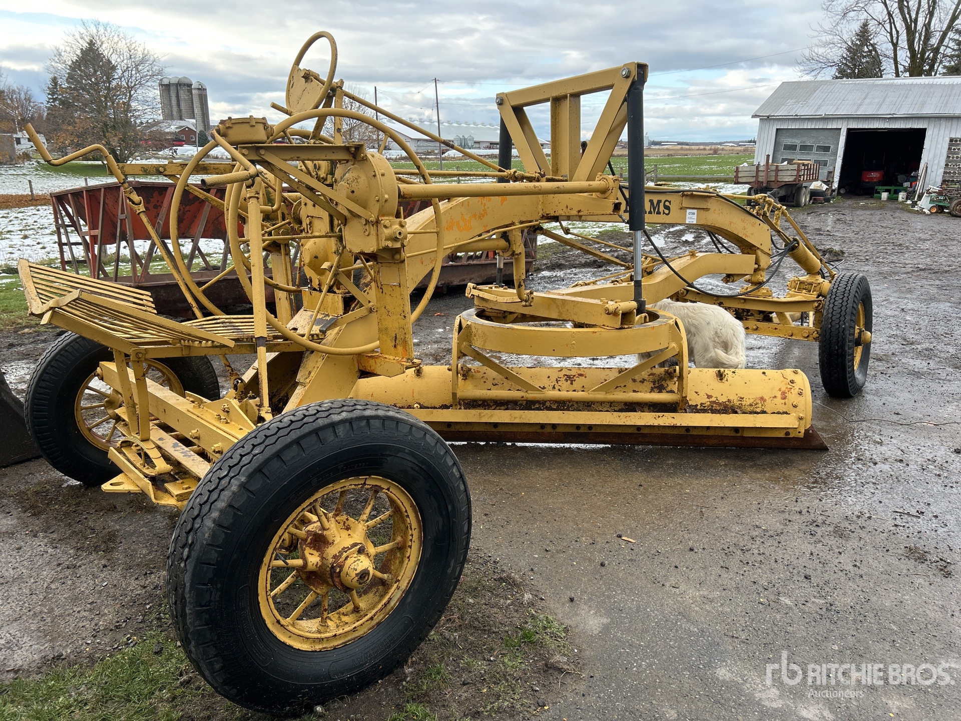 General Appearance with Zdjęcie, prawy dolny róg