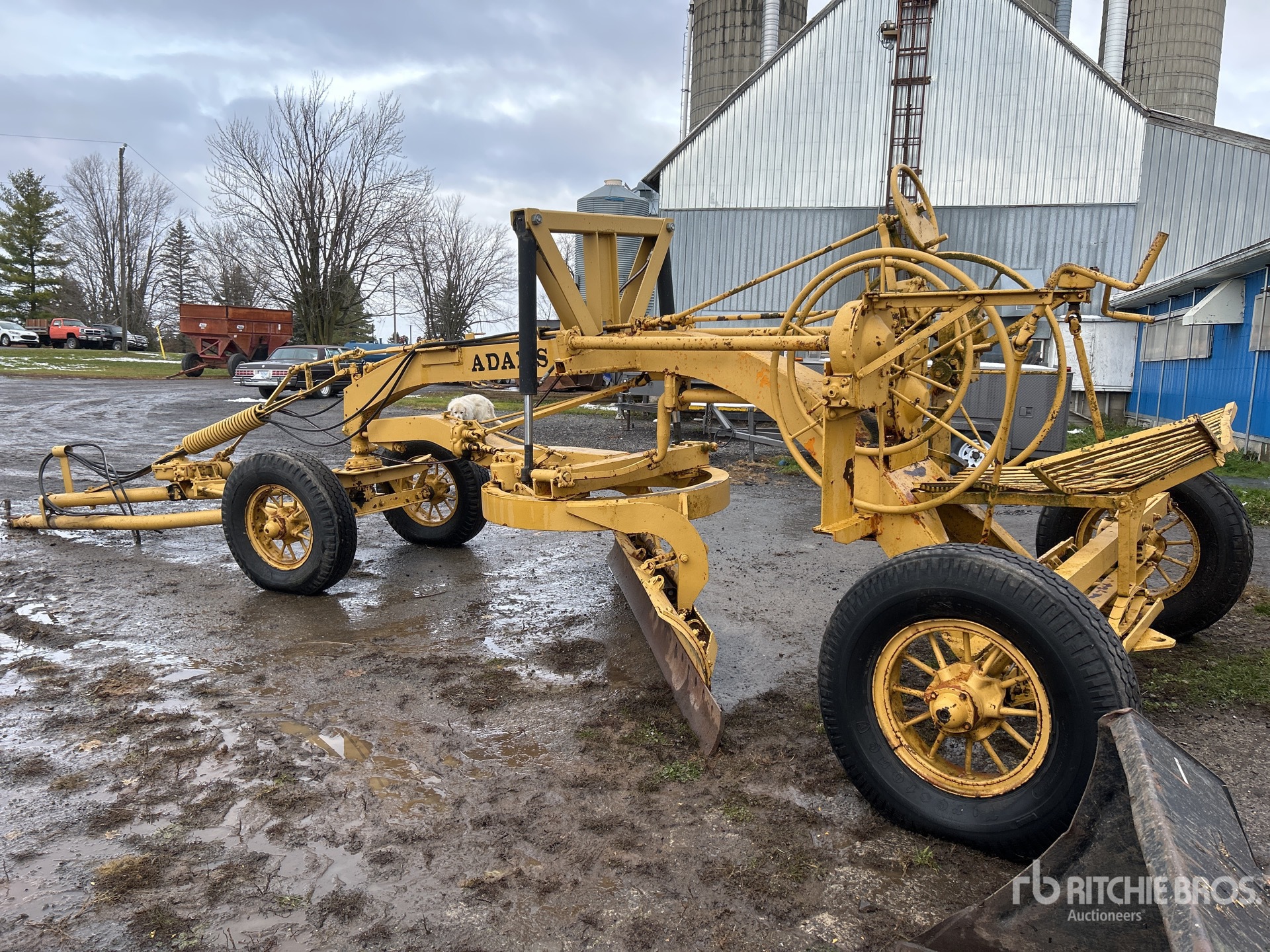 General Appearance with Zdjęcie, lewy dolny róg