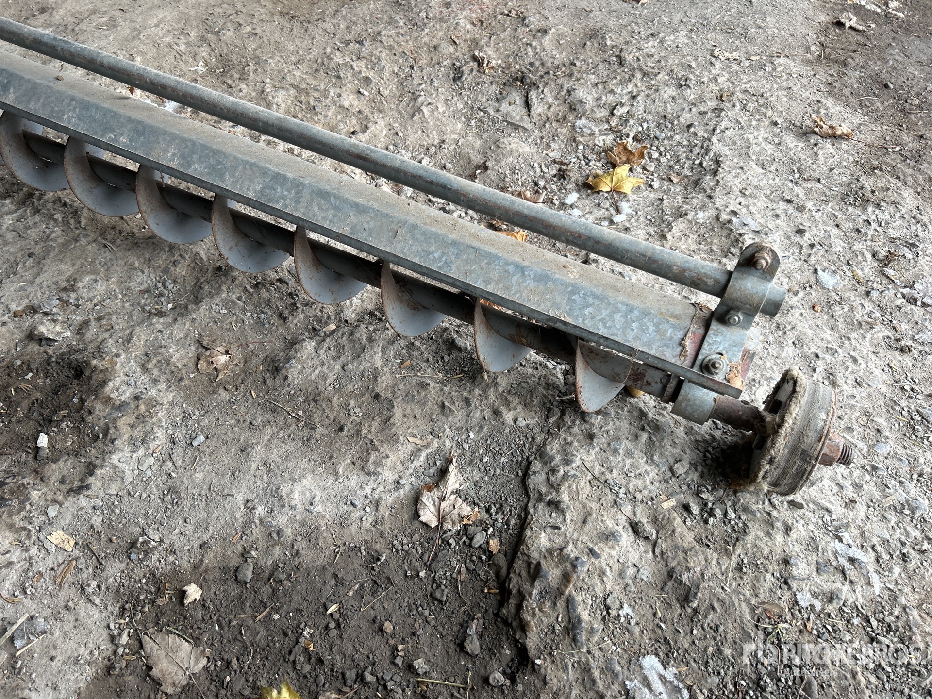 General Appearance with Bild, Ecke vorne links