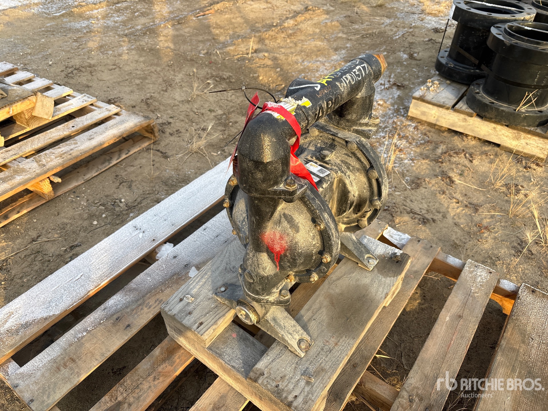 General Appearance with Imagen: esquina trasera derecha