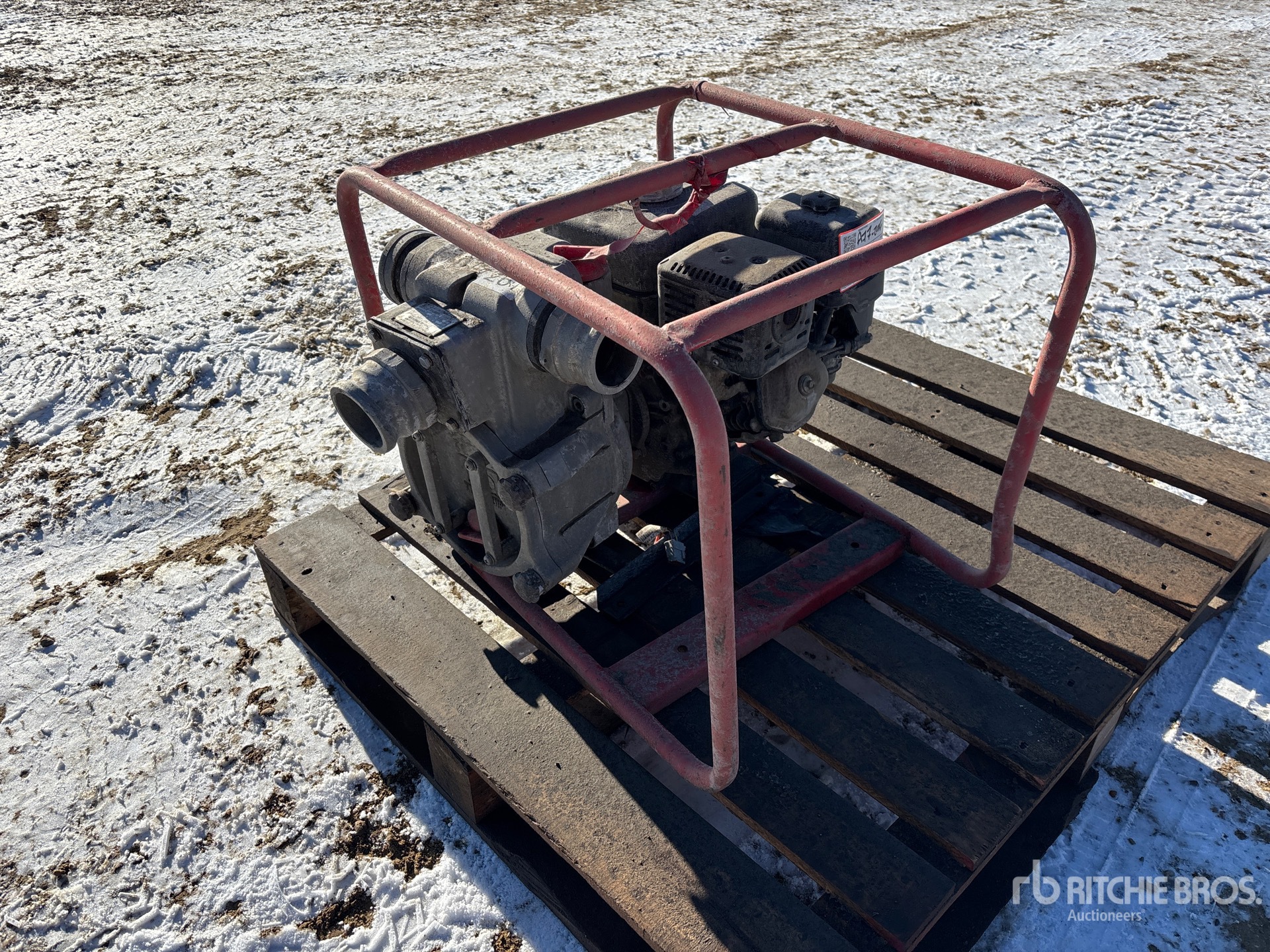 General Appearance with Foto, angolo anteriore sinistro