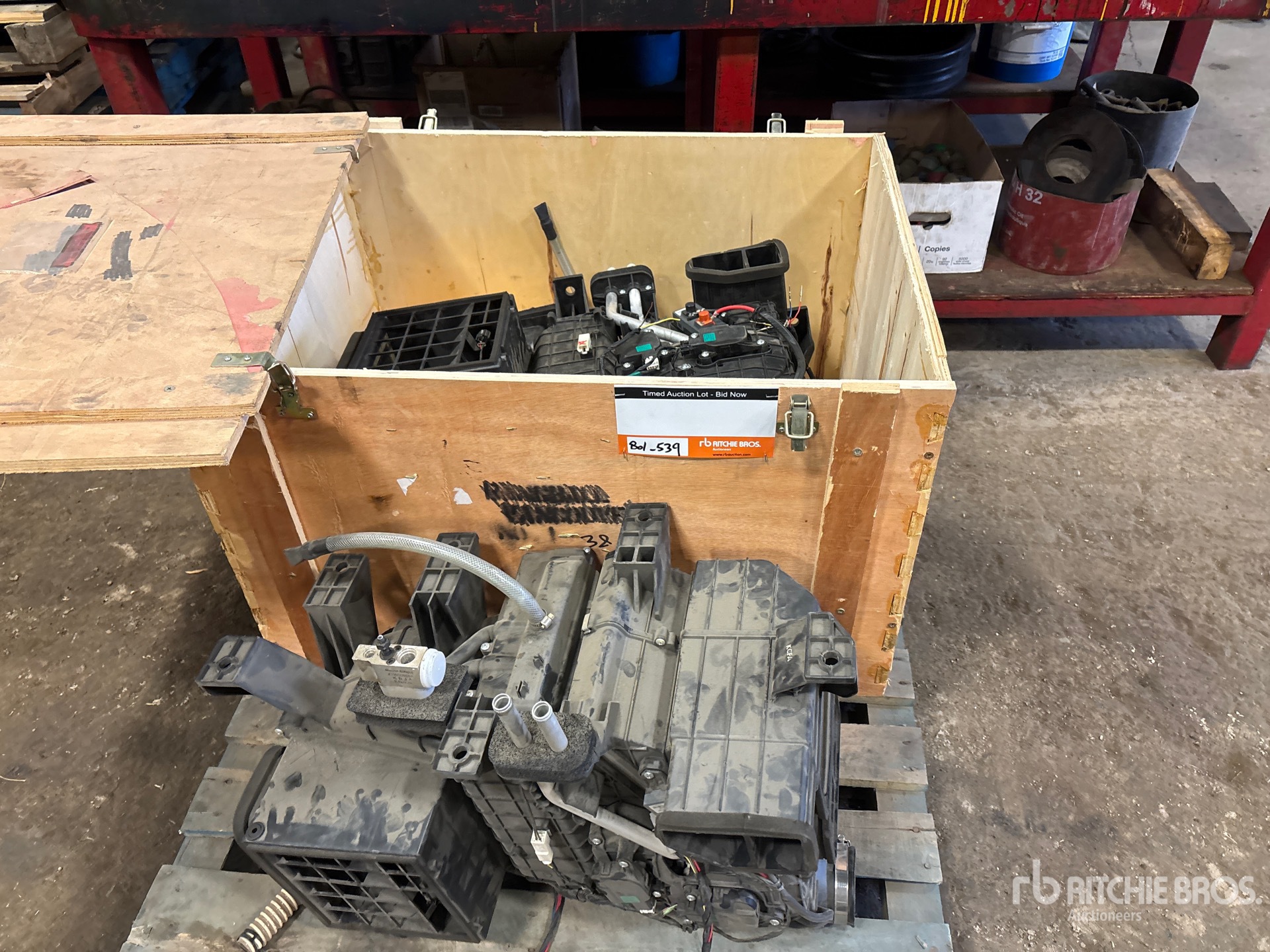 General Appearance with 