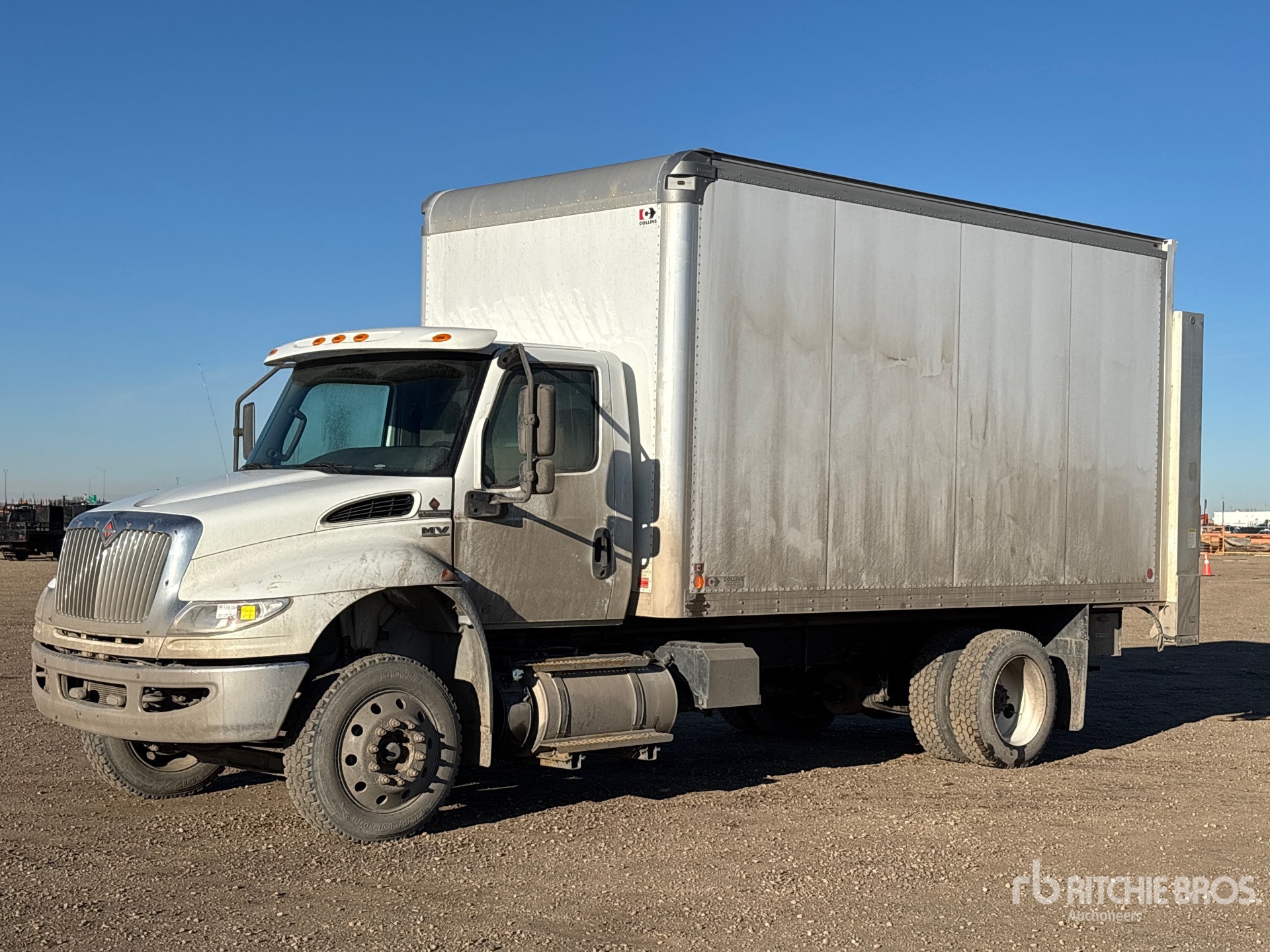 General Appearance with Spin