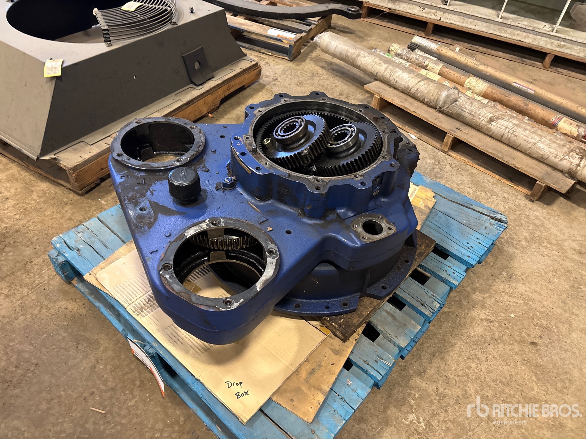 General Appearance with Bild, Ecke vorne links