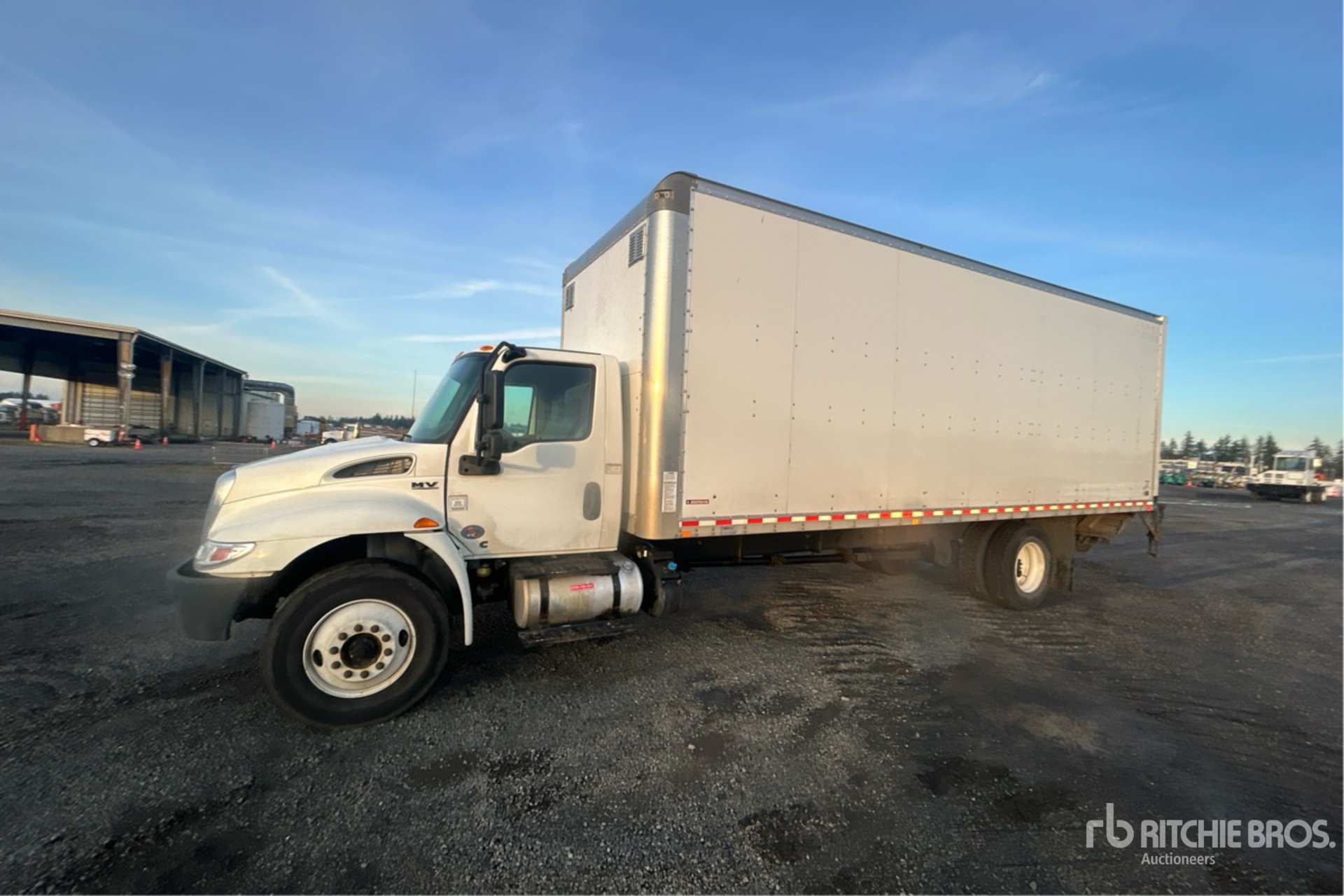 General Appearance with Spin