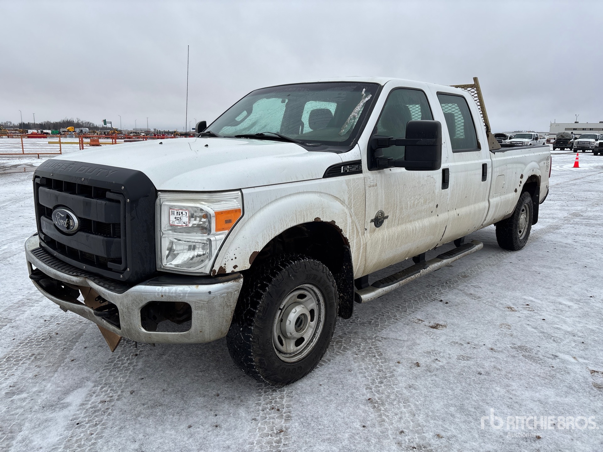 General Appearance with Spin