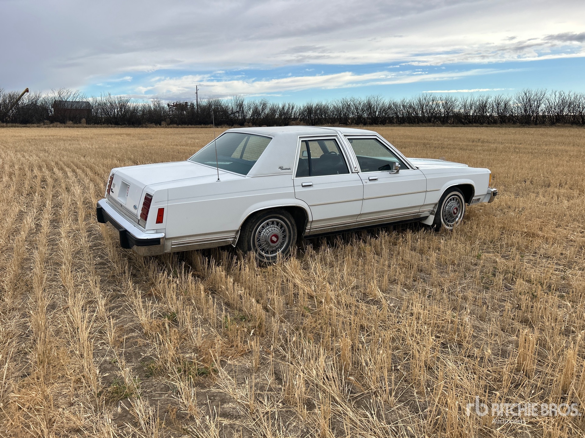 General Appearance with Bild, Ecke hinten rechts