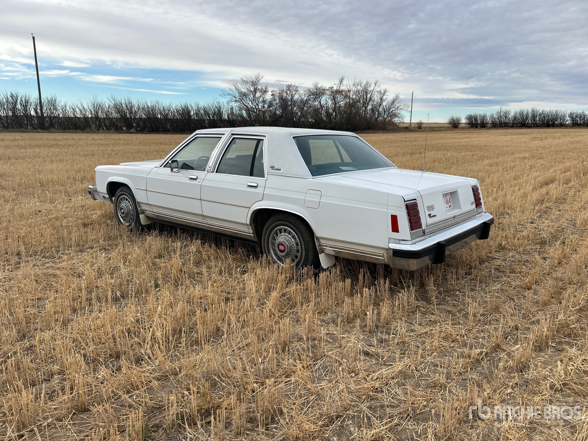 General Appearance with Bild, Ecke hinten links